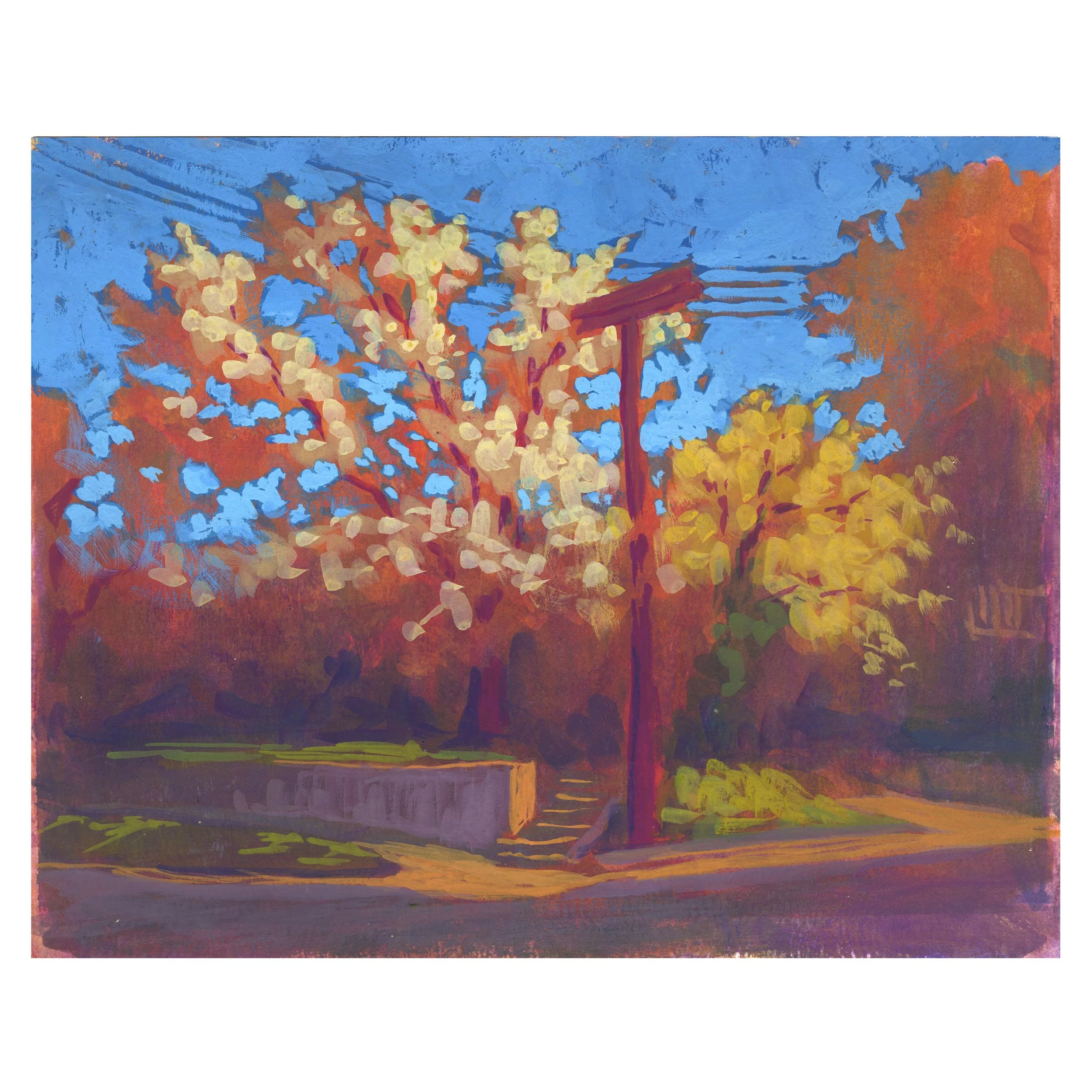 blossom tree copy.jpg