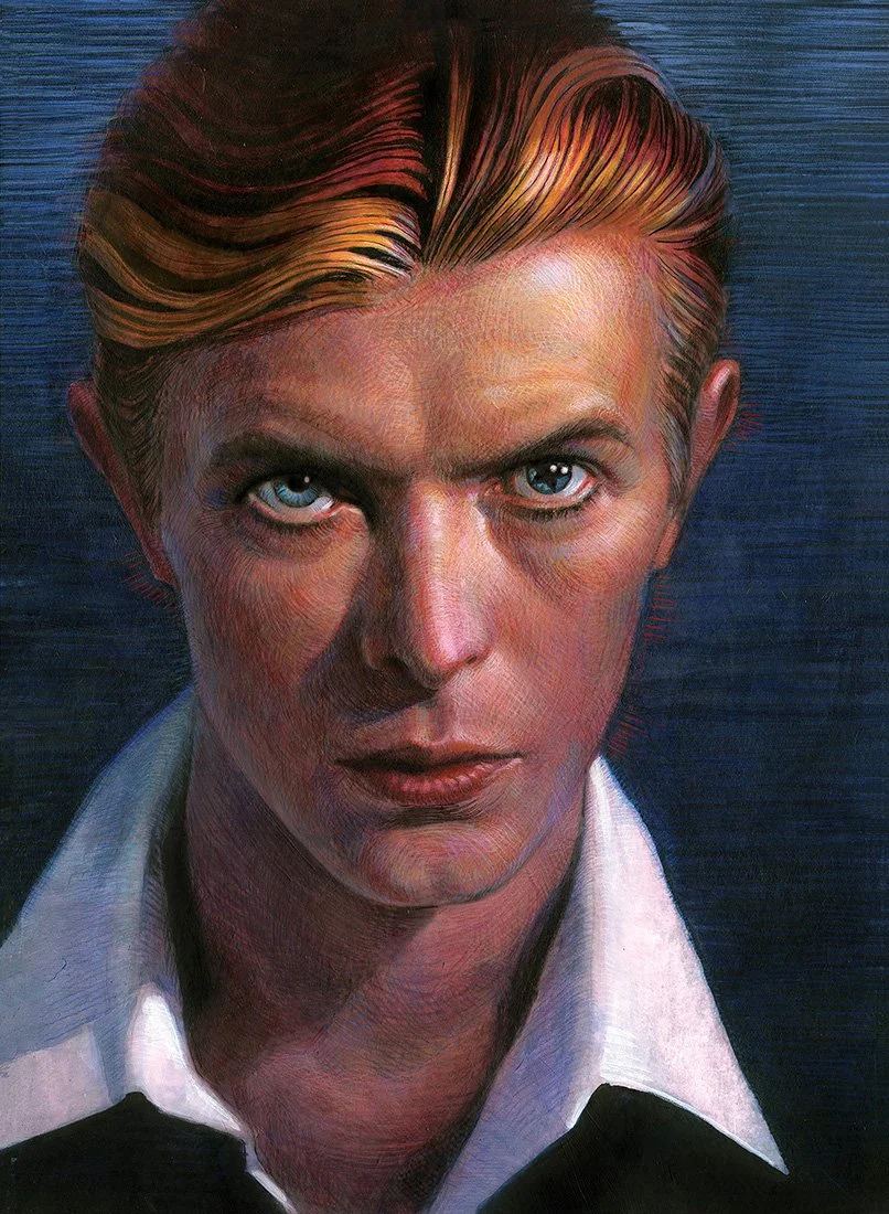 Bowie Webdardker.jpg