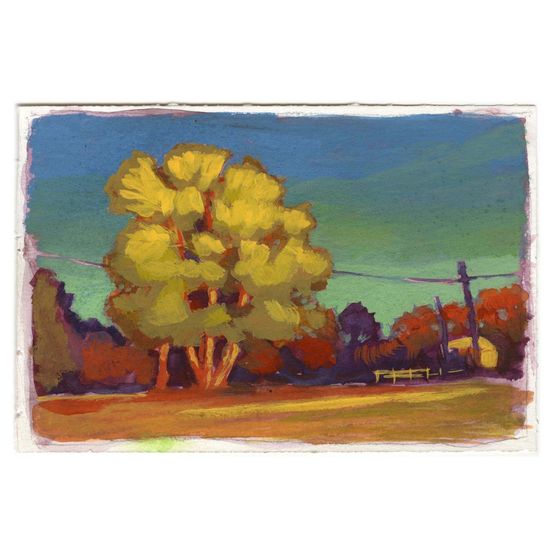 Layer 1 copy.jpg