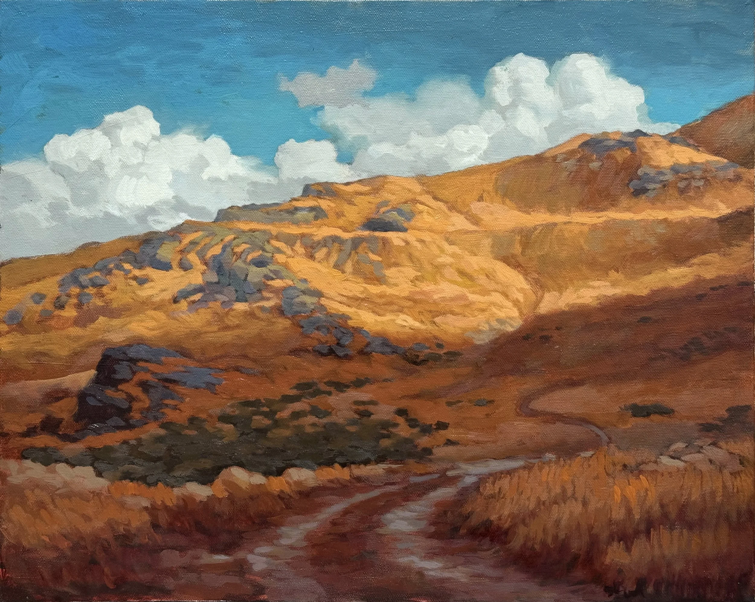 Dallin Orr_Cloud Light.JPG