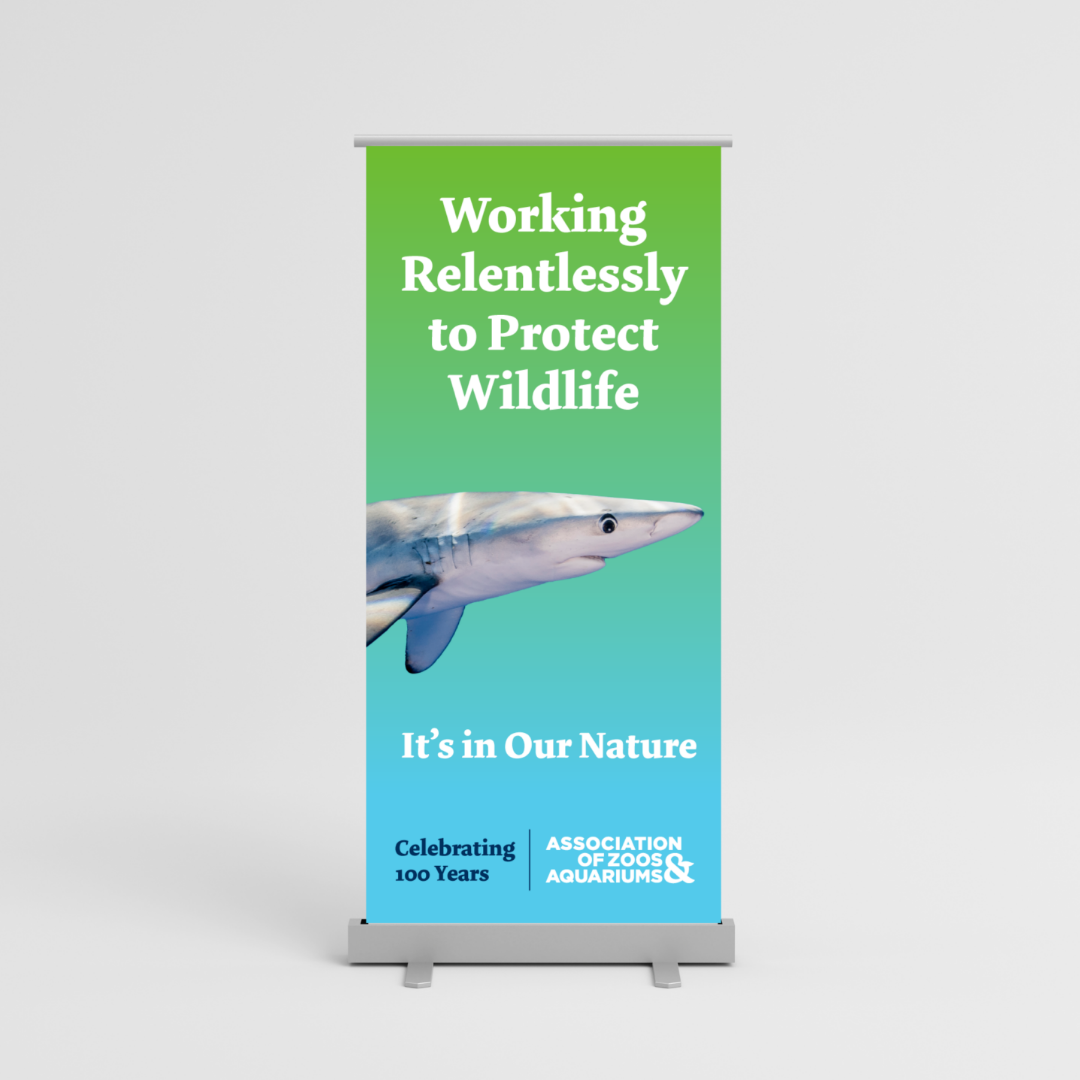 StandingBillboard-AZA.png