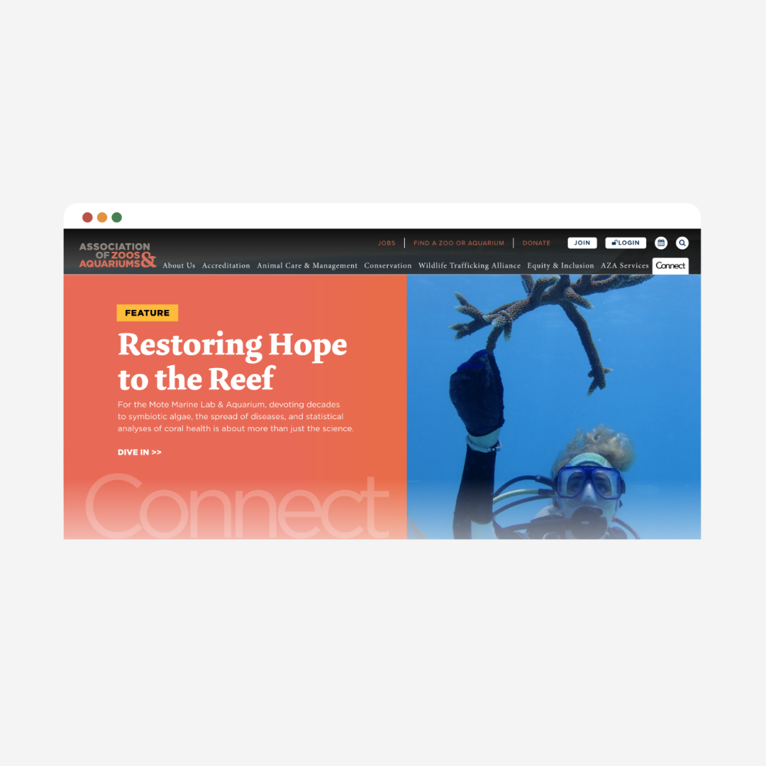 Connect-AZA.png