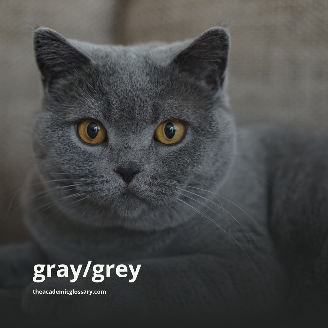 gray/grey