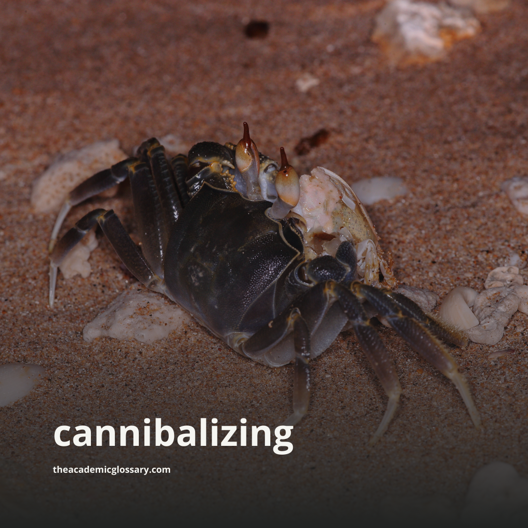cannibalizing