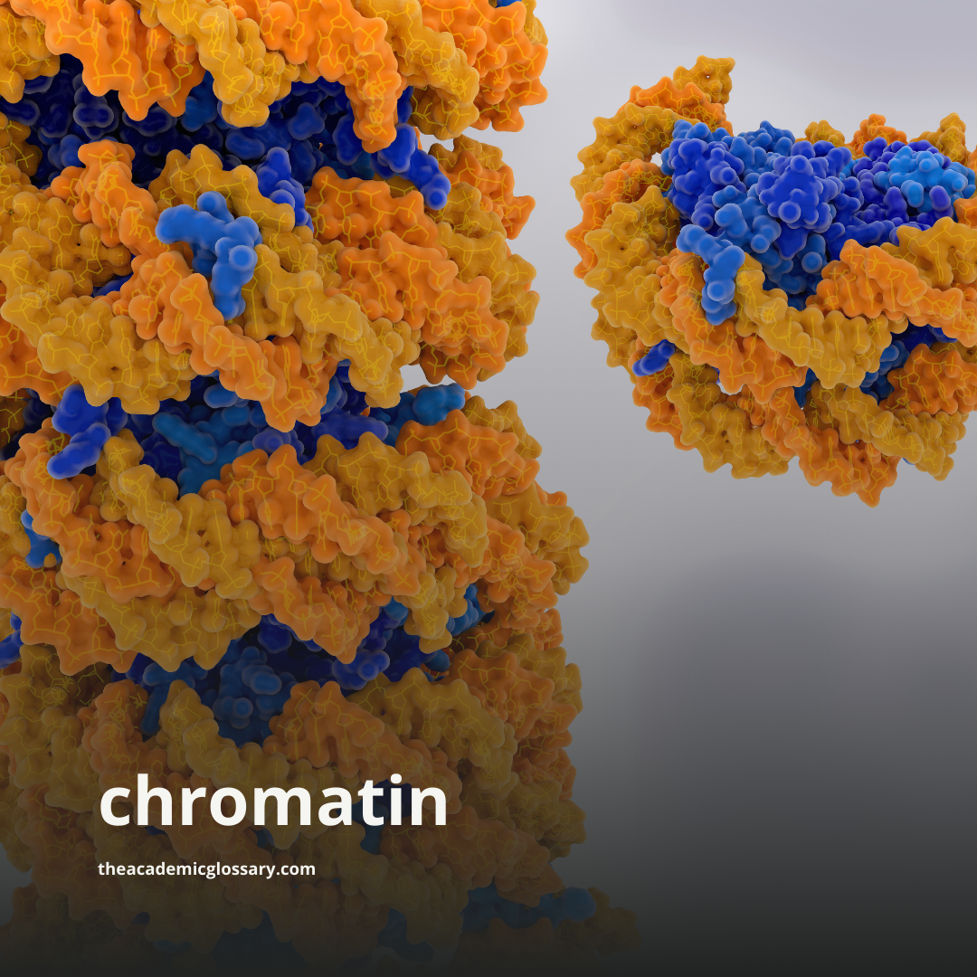 chromatin