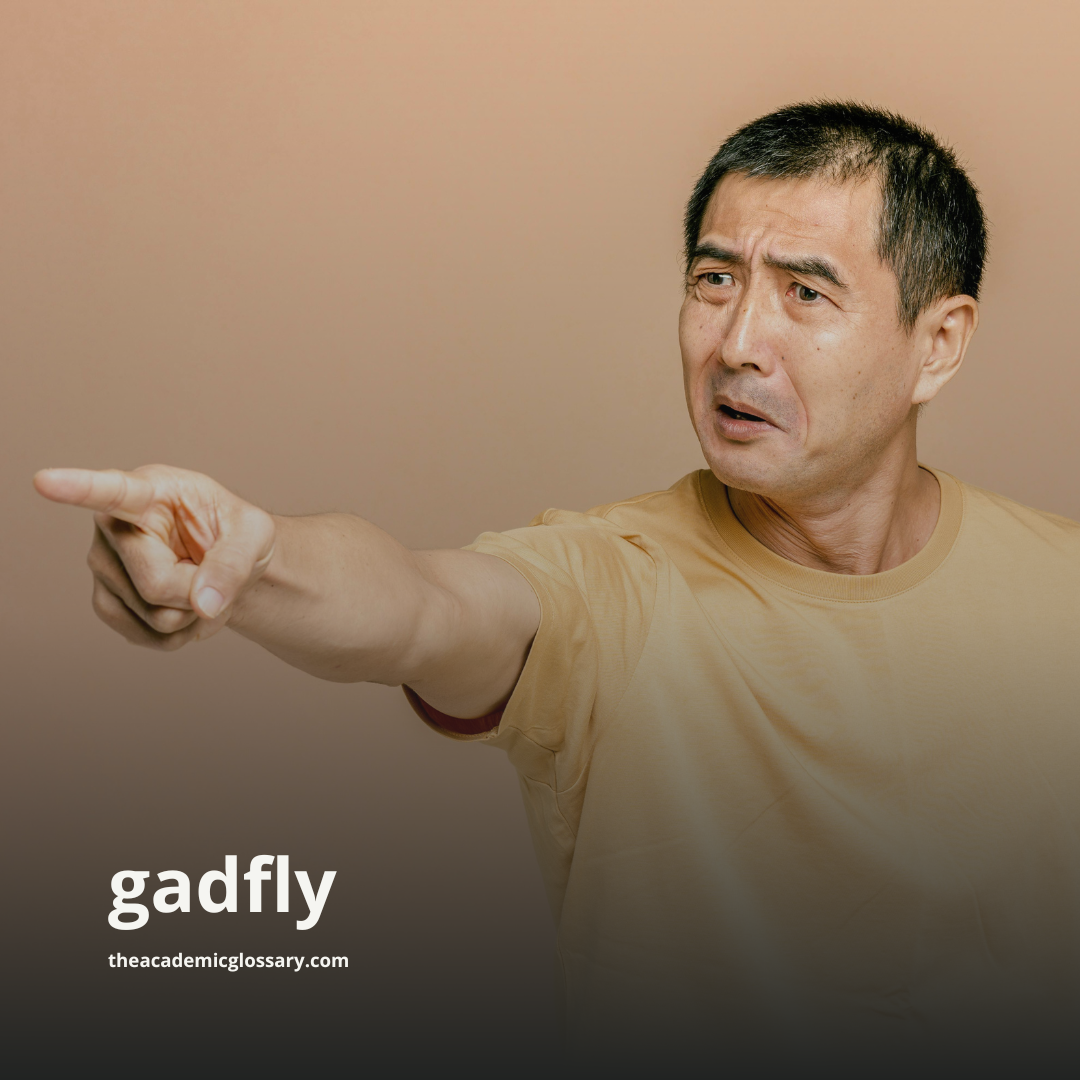 gadfly