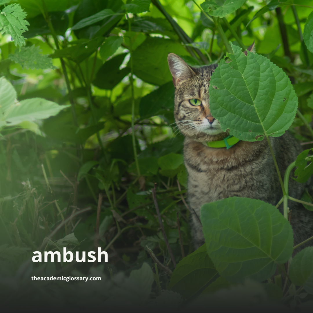 ambush