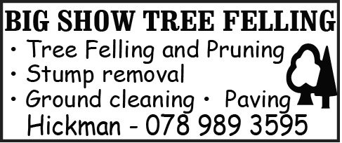 tree-felling-bigshow.jpg