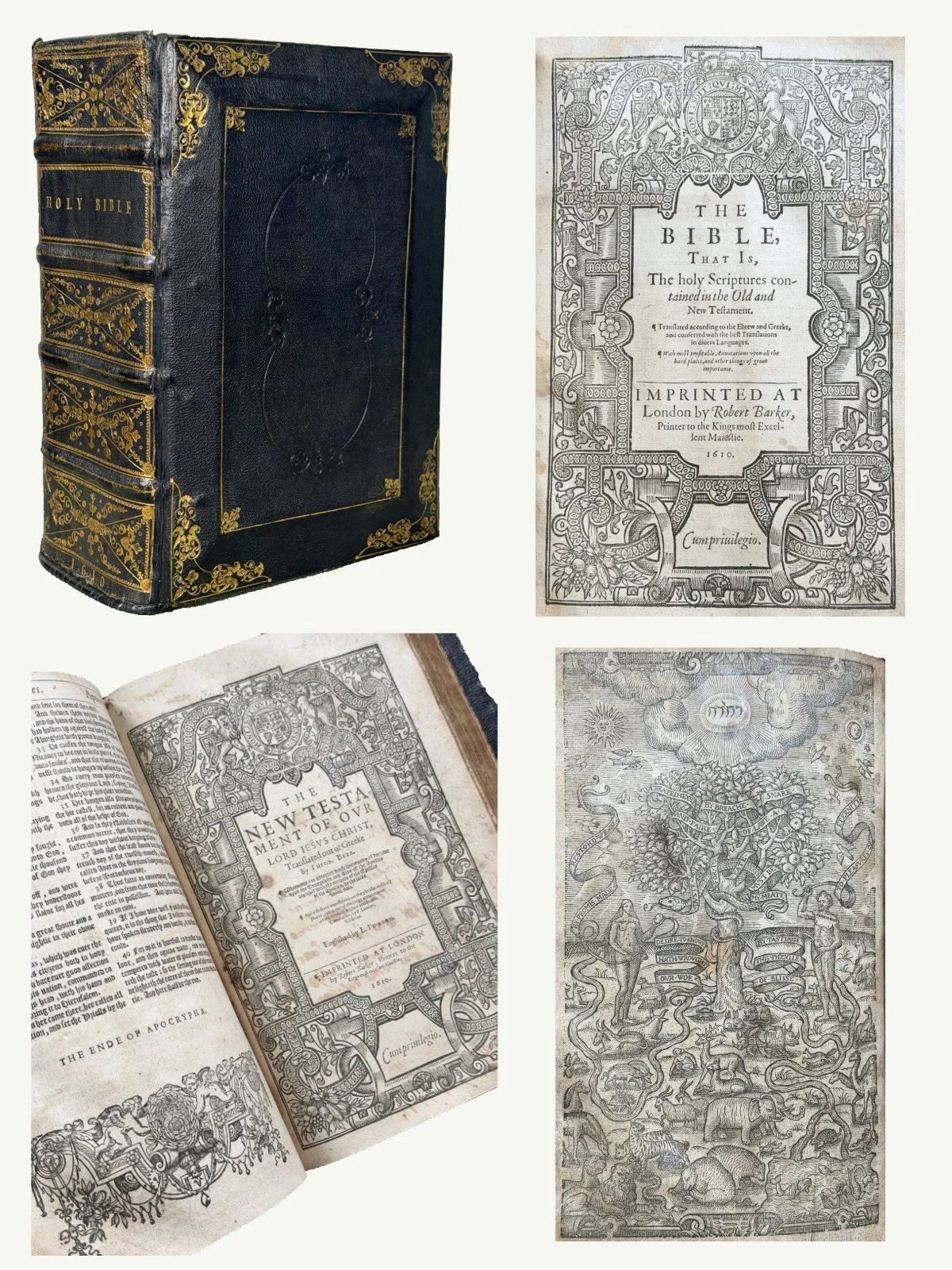 1610 Folio Illustrated Geneva Bible with Adam and Eve Engraving