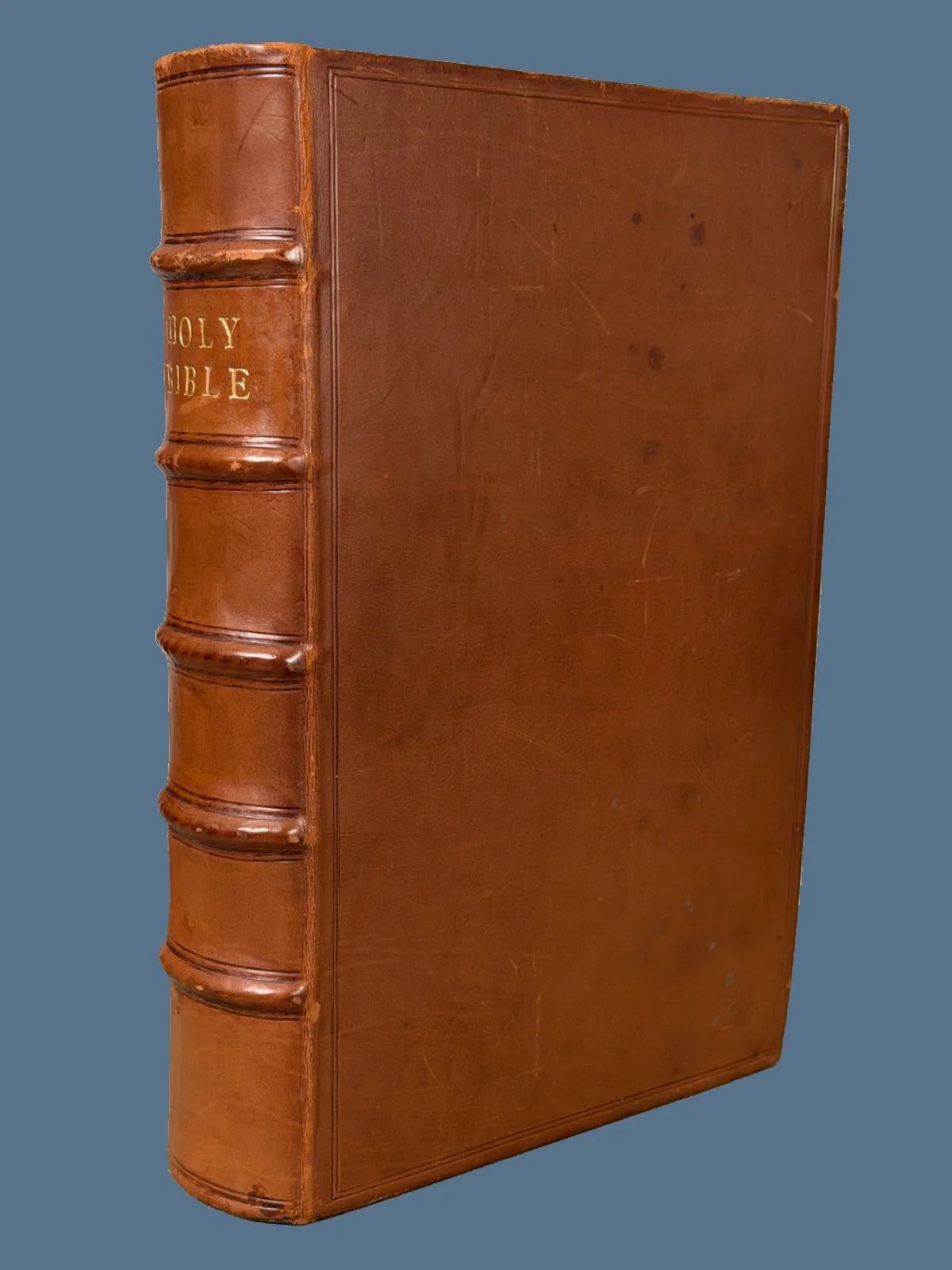 Amsterdam Geneva Bible