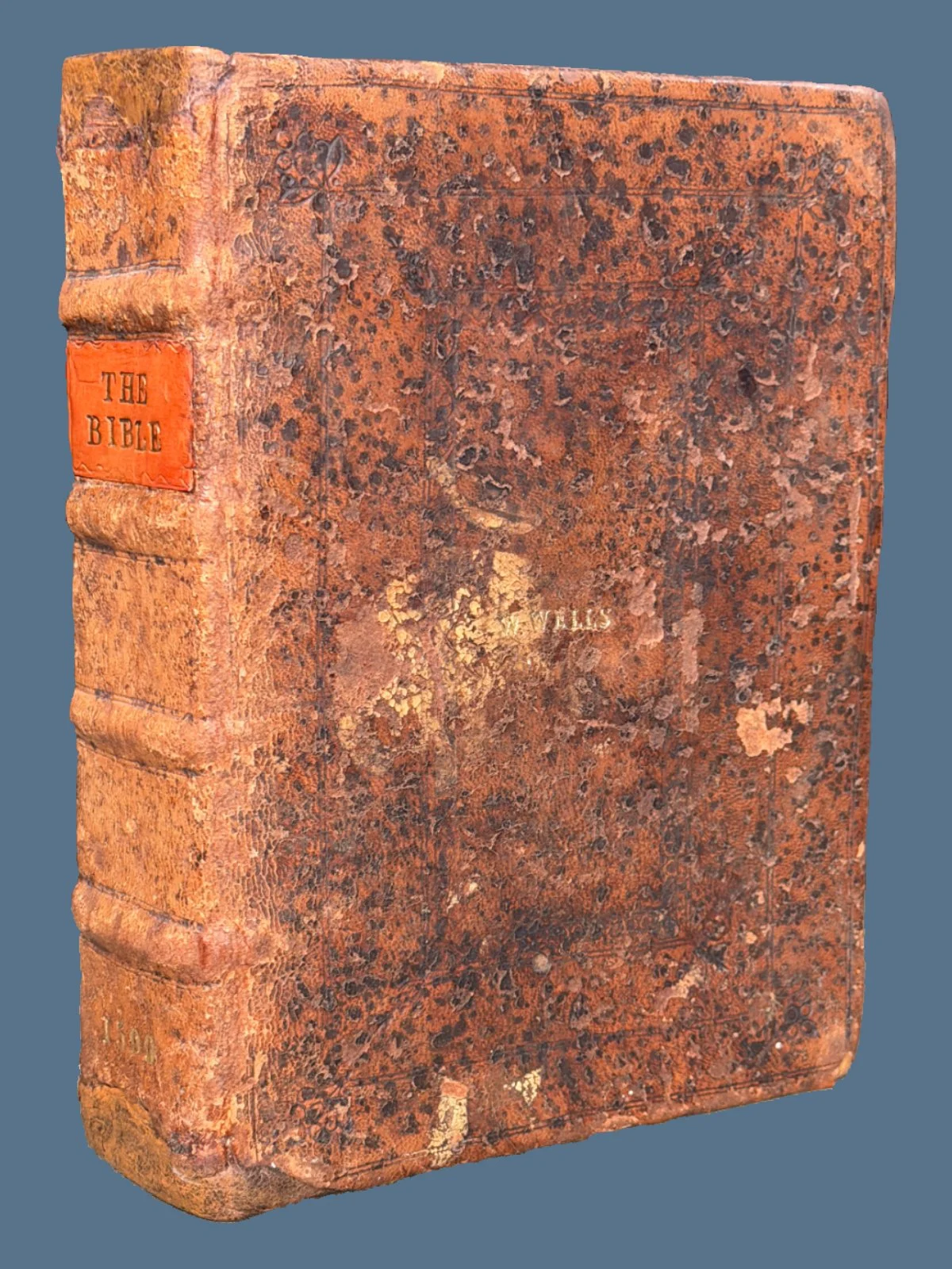 1599 Geneva Bible