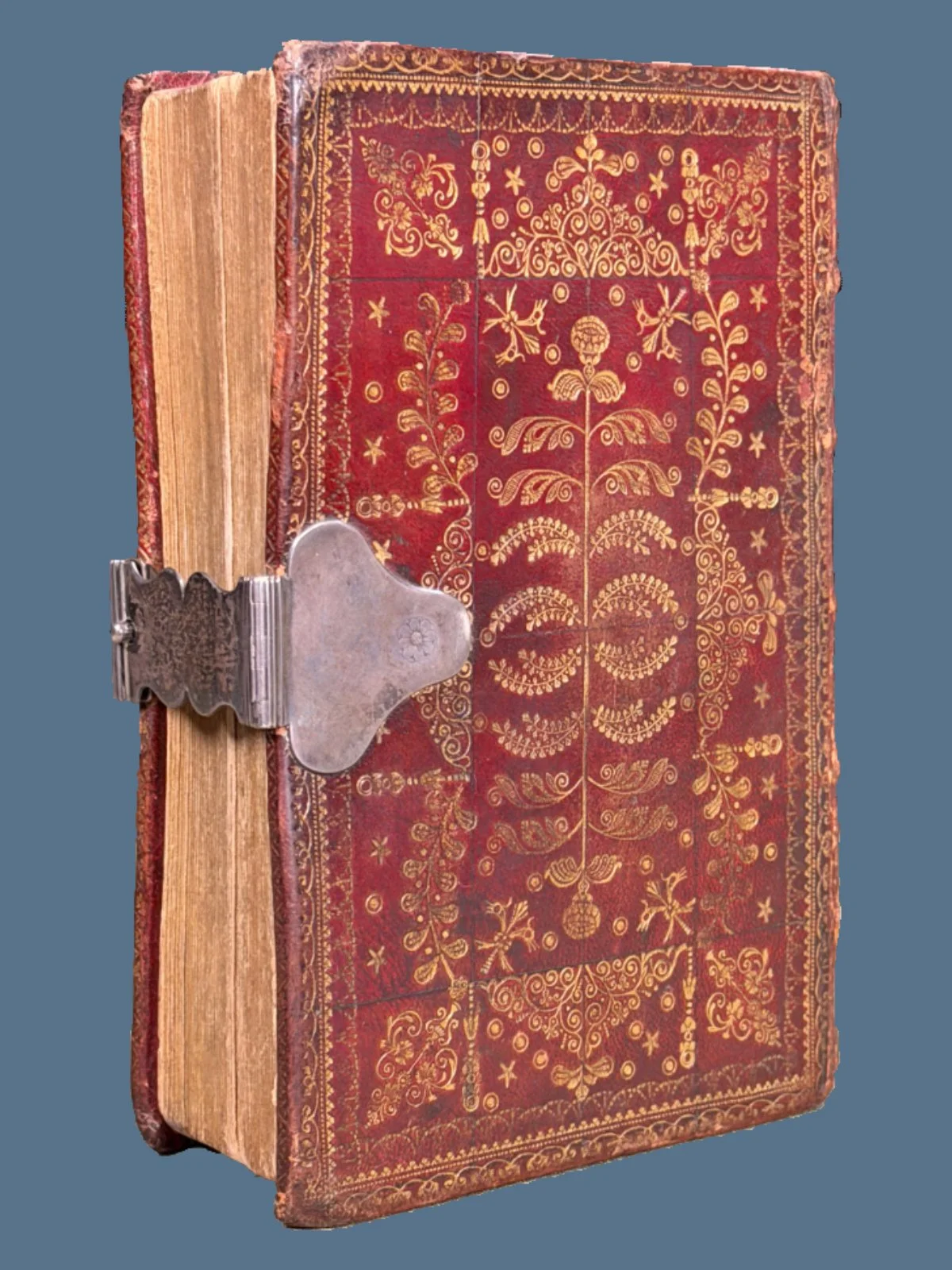 King James Bible Scotland