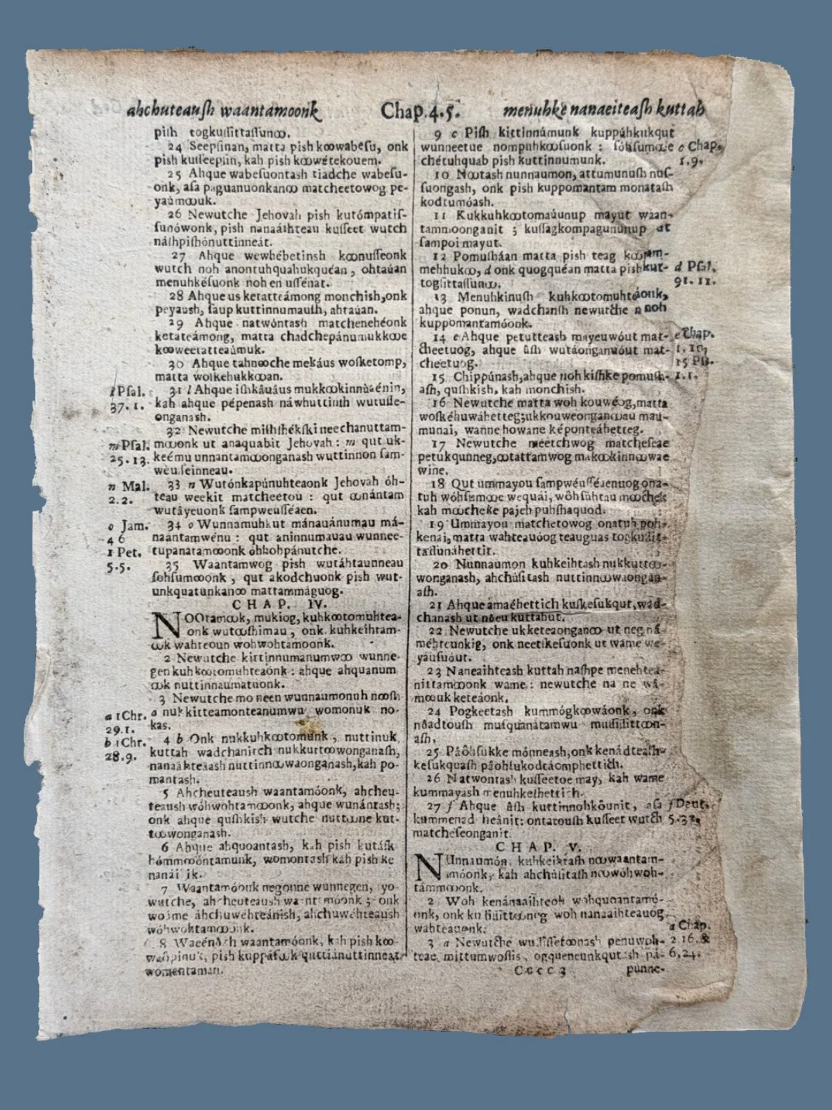 1663 Eliot Indian Bible Leaf