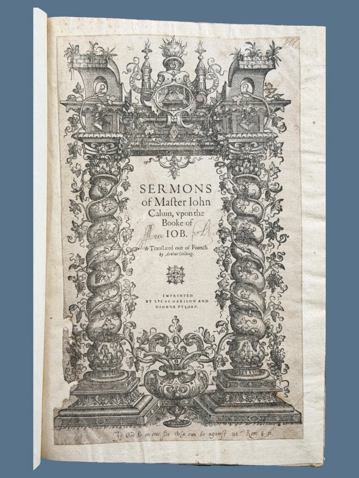 Sermons on Job by John Calvin