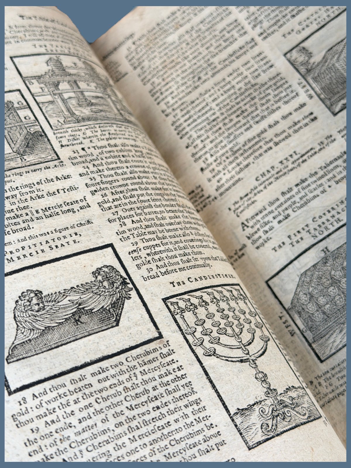 Illustrations from a Geneva Bible