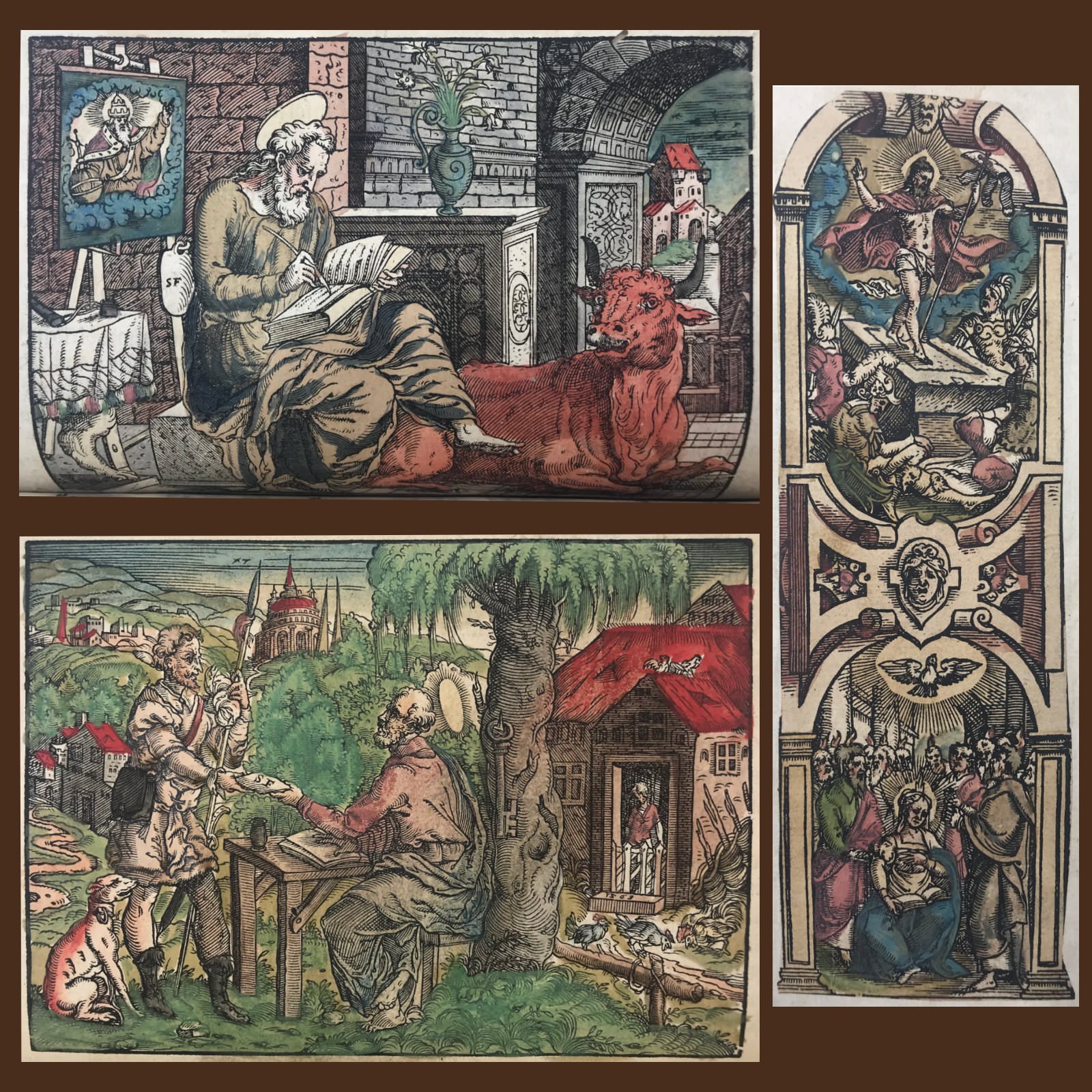  Some illustrations were meticulously hand-colored at the print house or by a subsequent owner. 