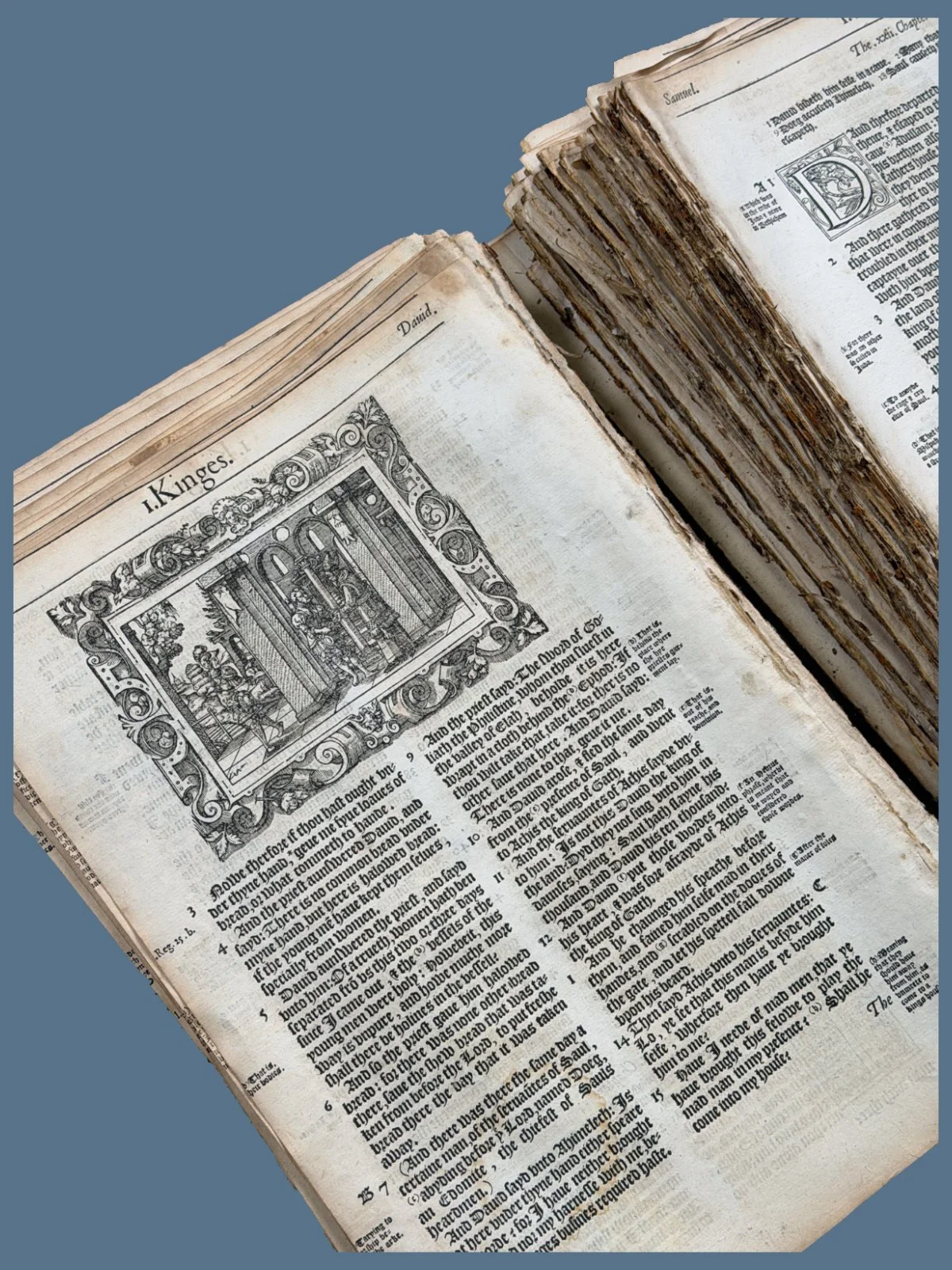 First Edition Bible Leaf