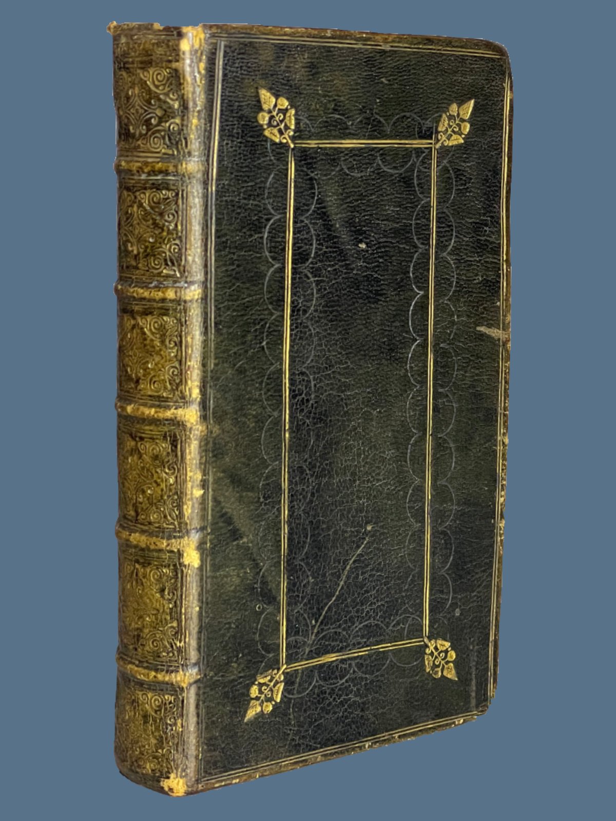 King James Bible