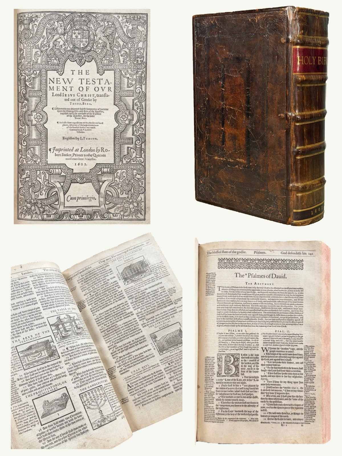 1602 Folio Illustrated Geneva Bible with Contemporary Boards