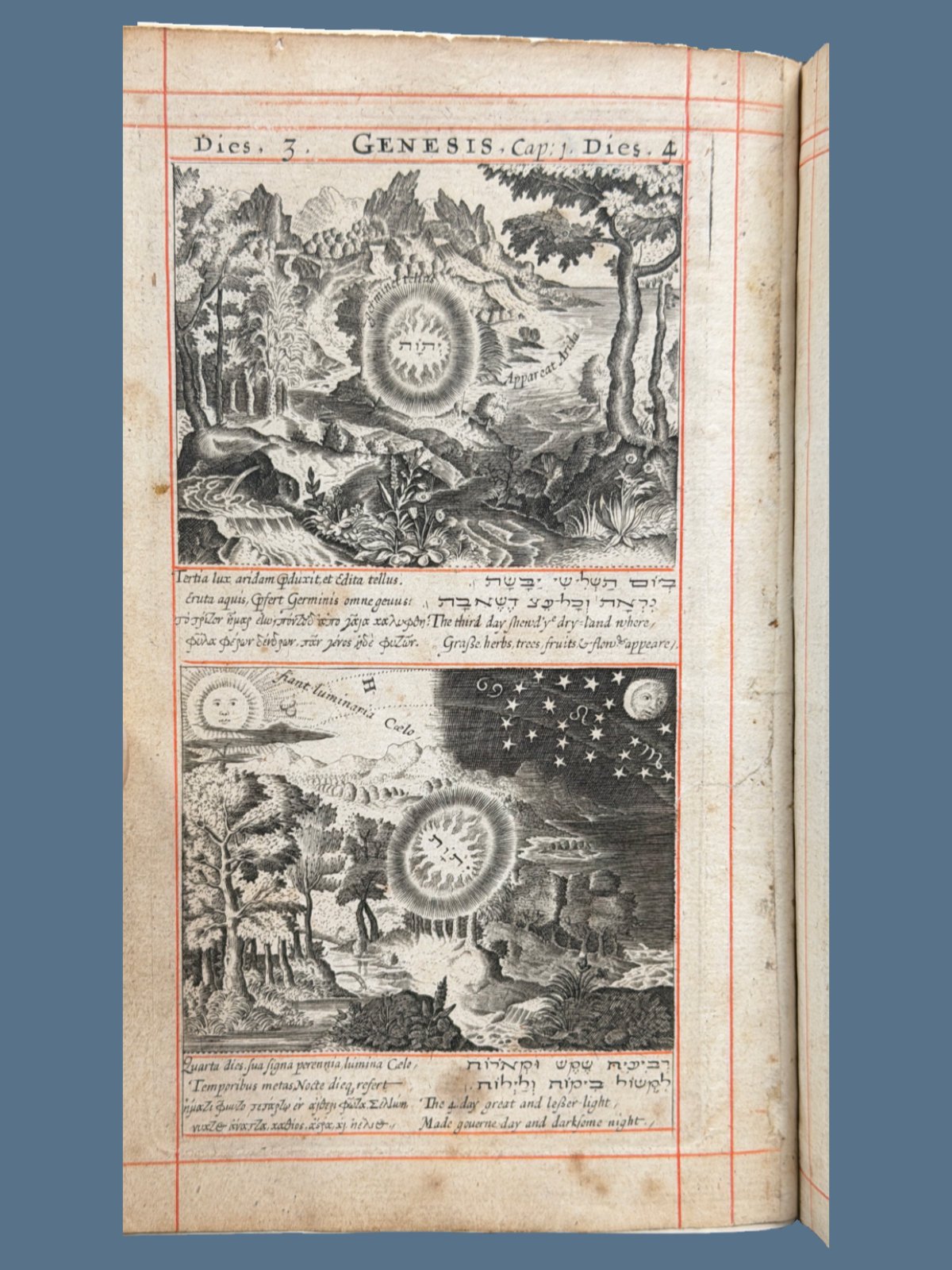 Illustrated King James Bible