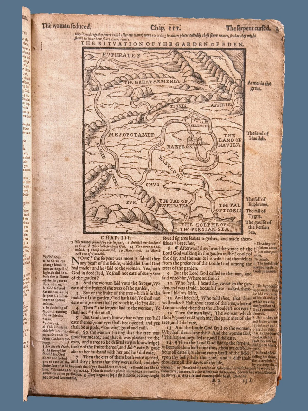 V06-5.jpg