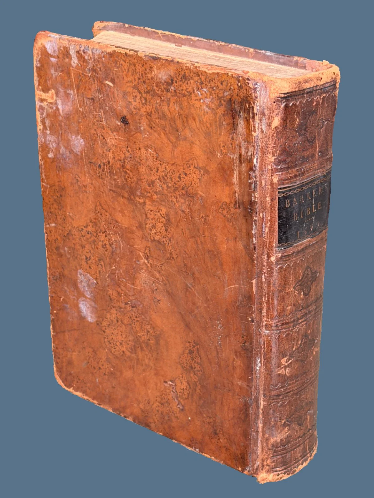 1599 Breeches Bible