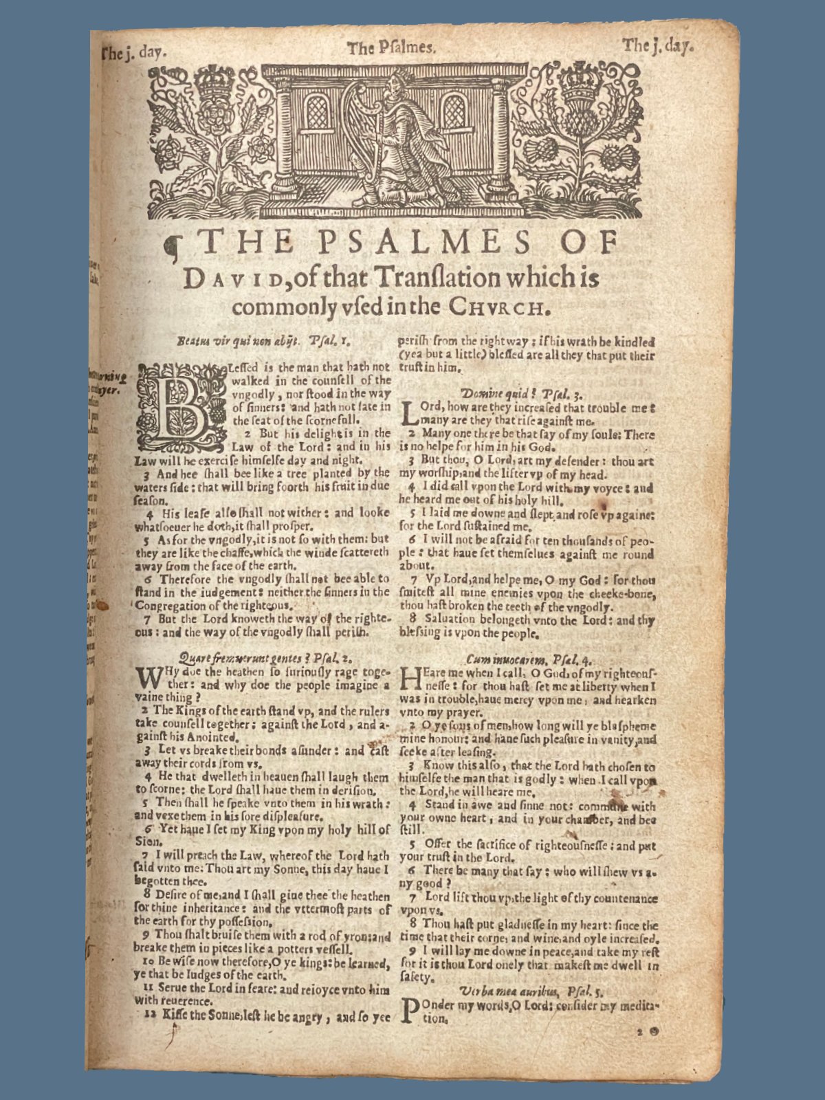 R15-6.jpg