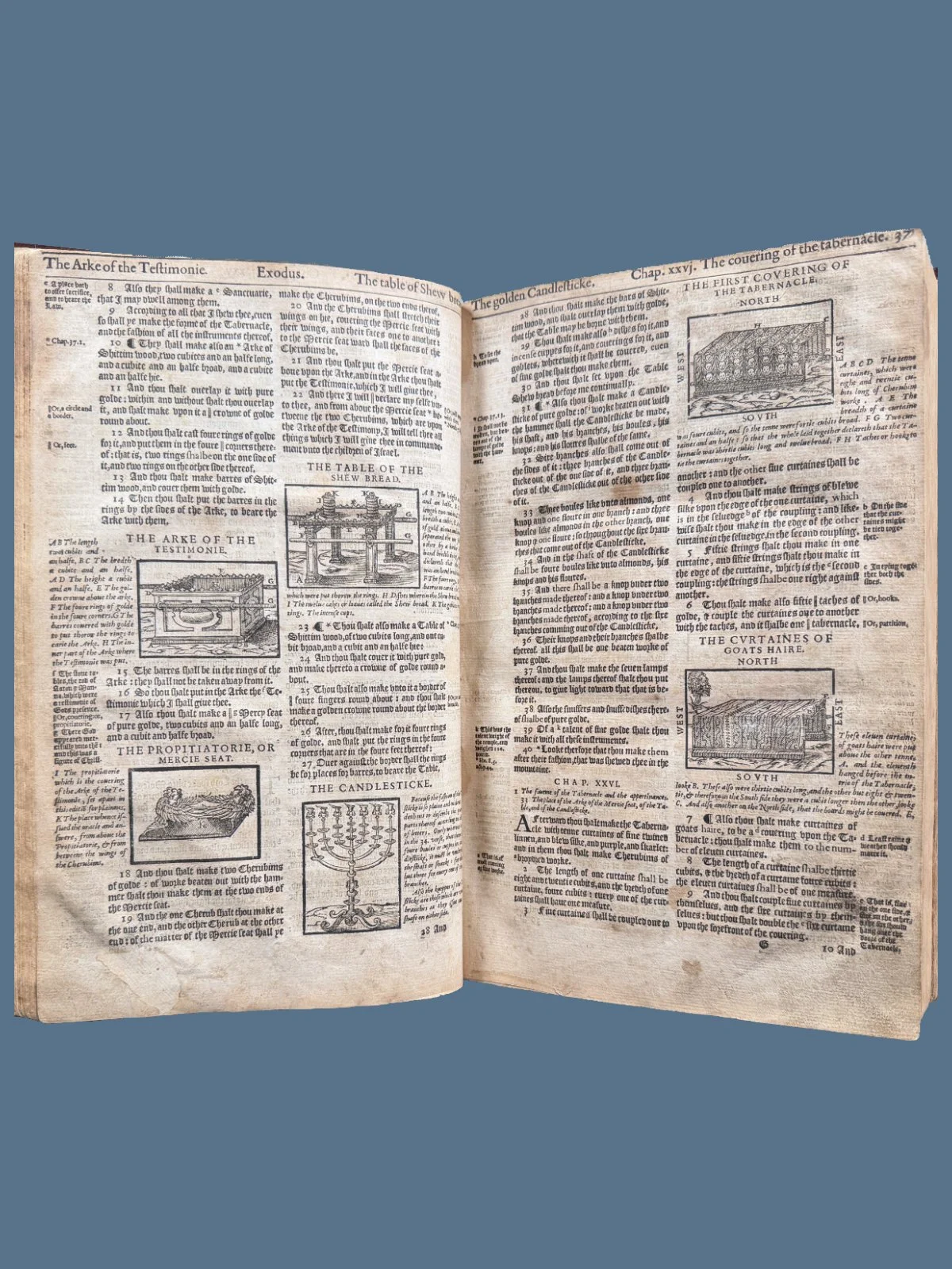 Woodcuts in Geneva Bible