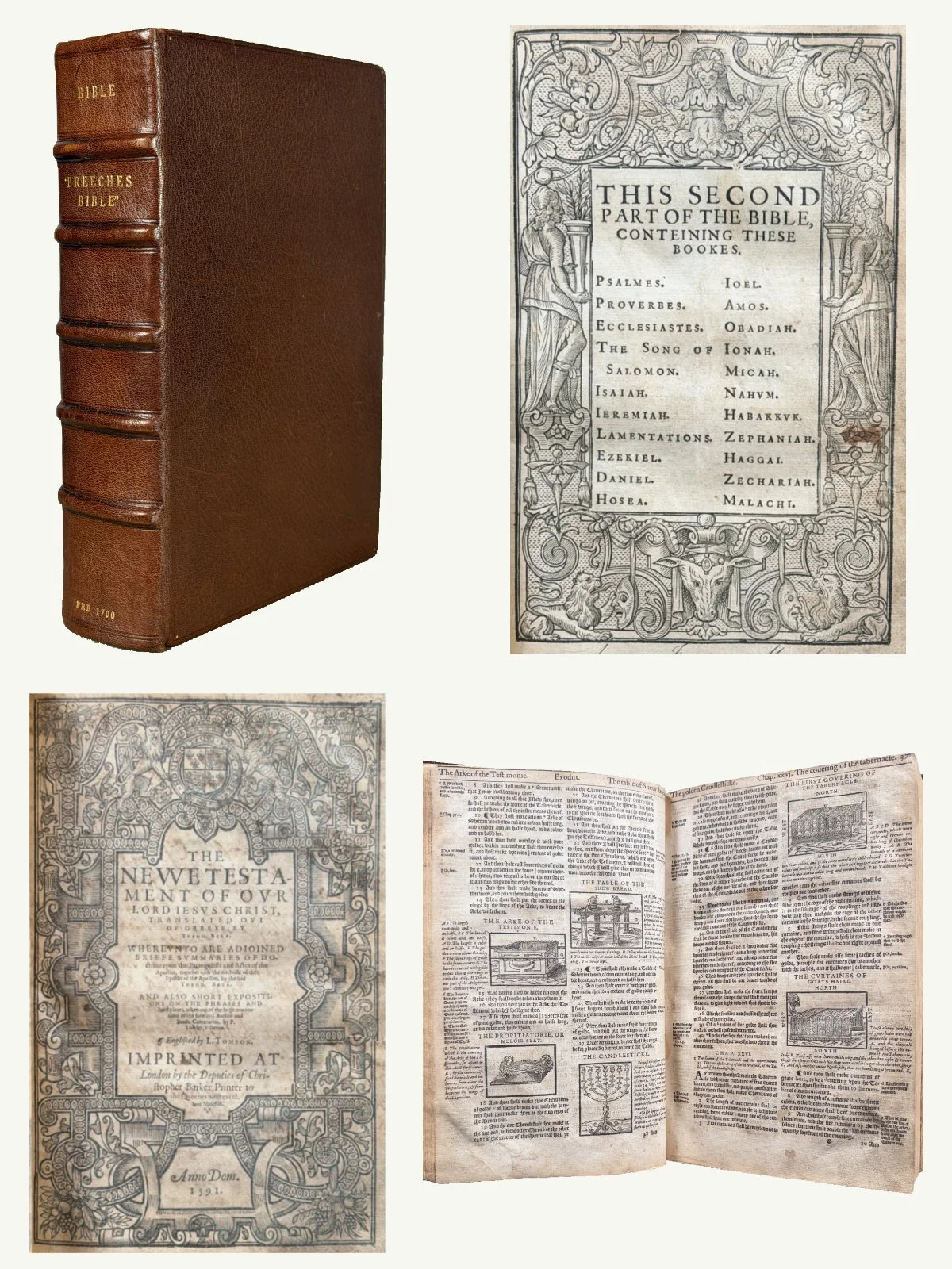 1592 Rebound Folio Illustrated Geneva Bible