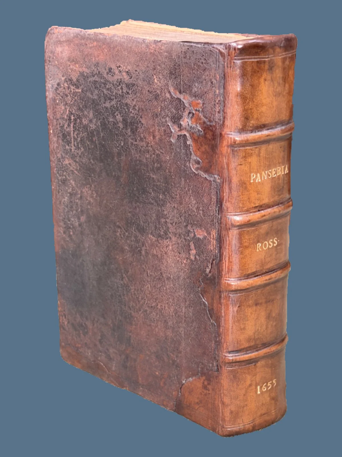 Pansebeia: A View of All Religions of the World