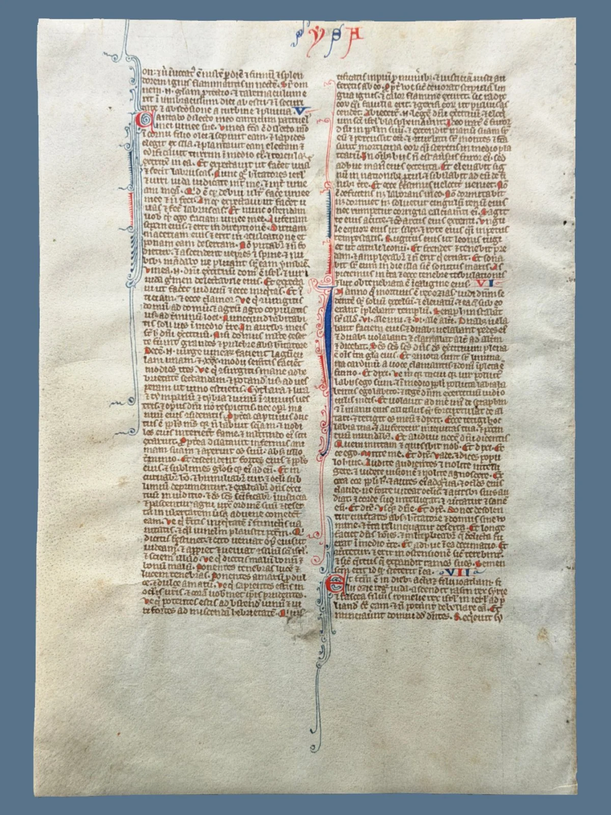 Leaf from a thirteenth century Paris Bible