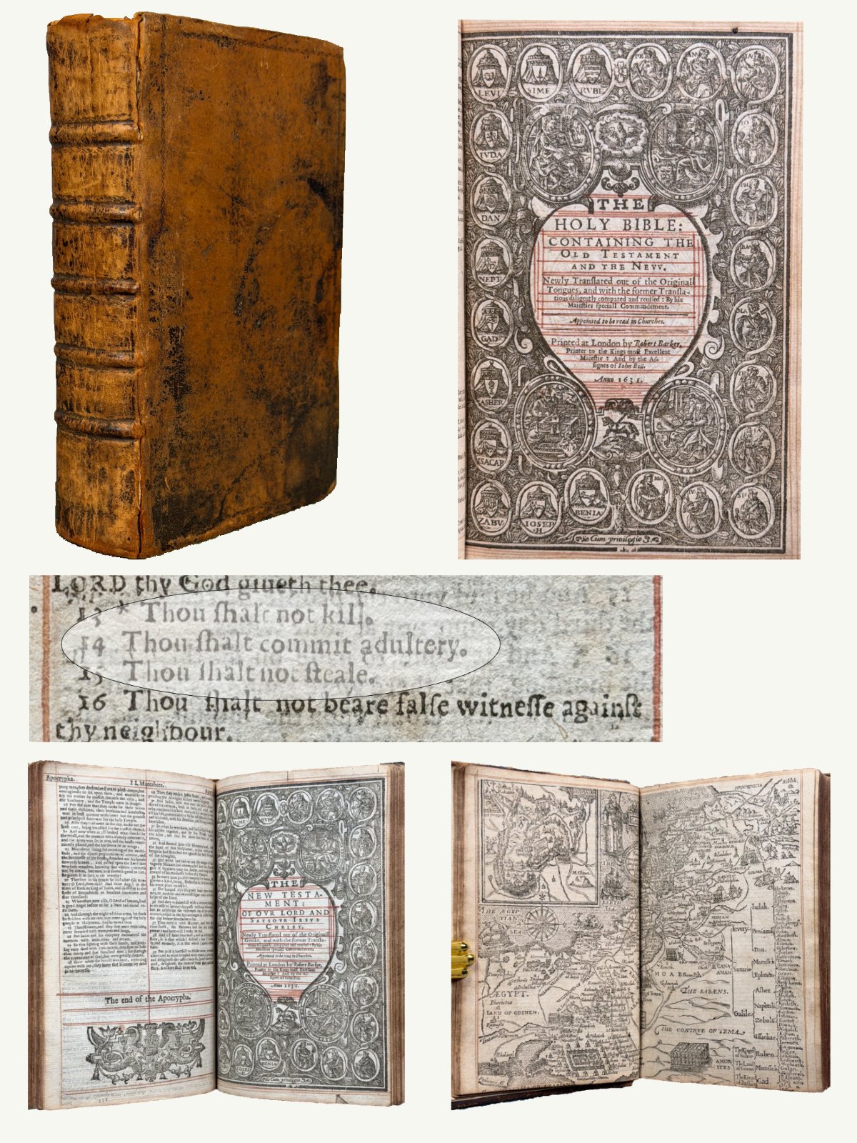 1631 Red Ruled King James Wicked Bible in Contemporary Binding