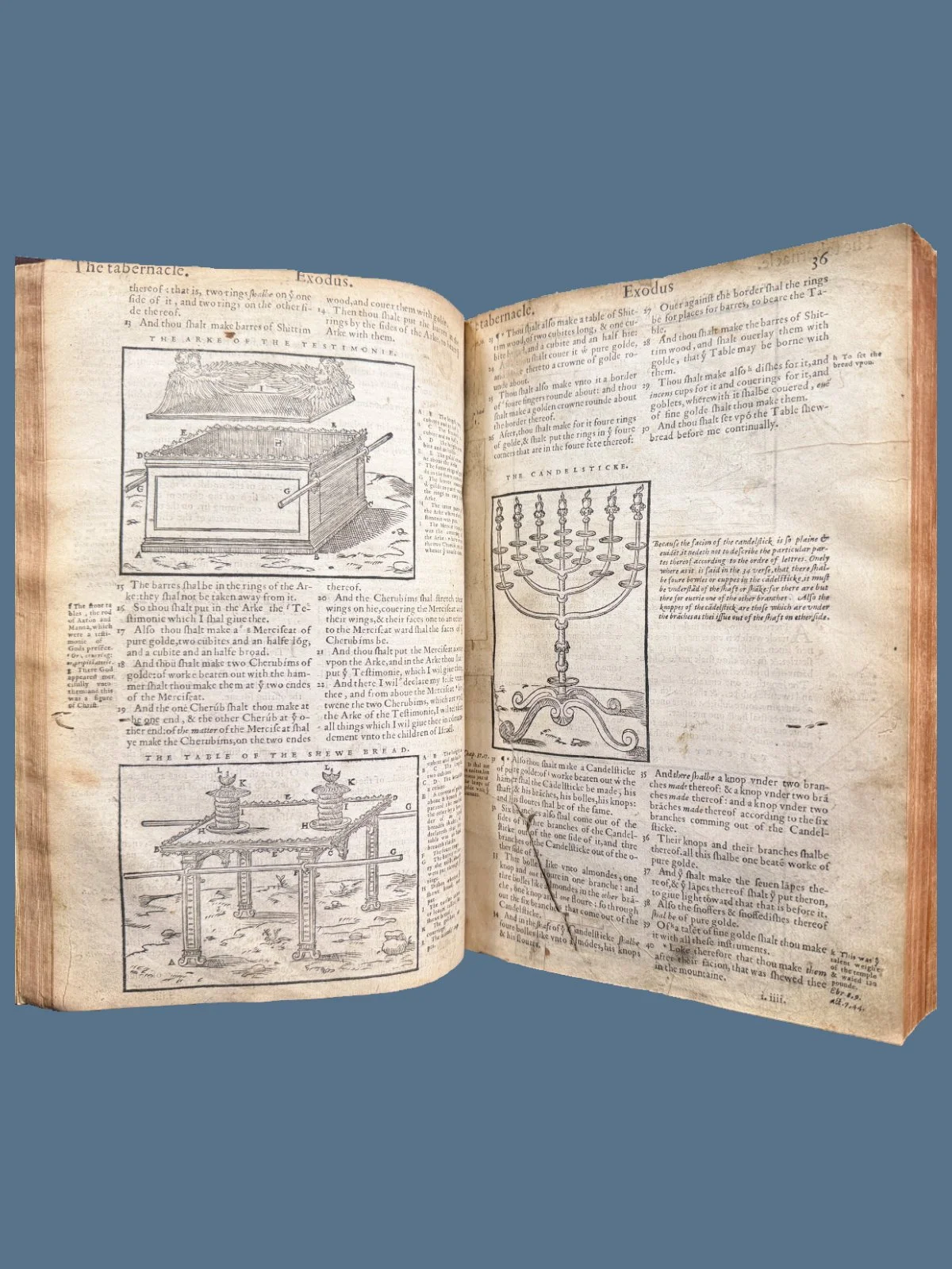 Woodcuts in First Edition Breeches Bible