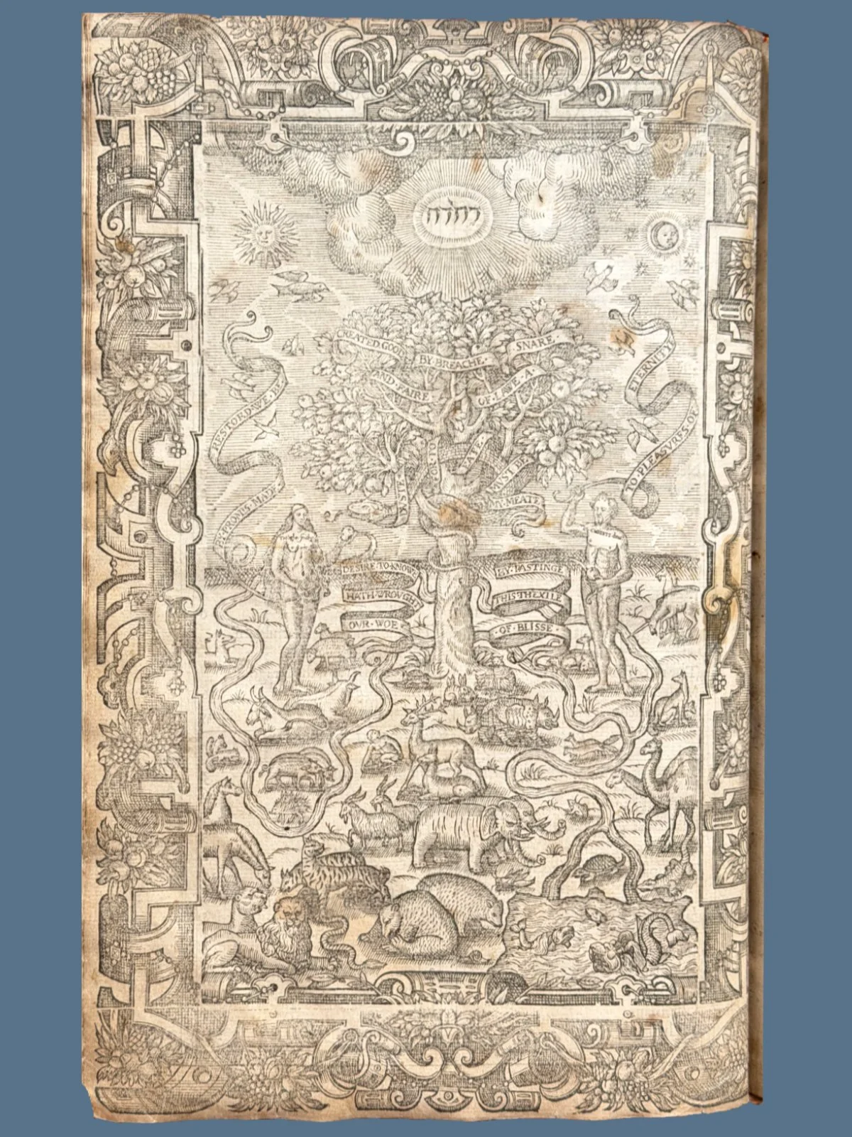 Full Page Engraving of the Garden of Eden in a Geneva Bible