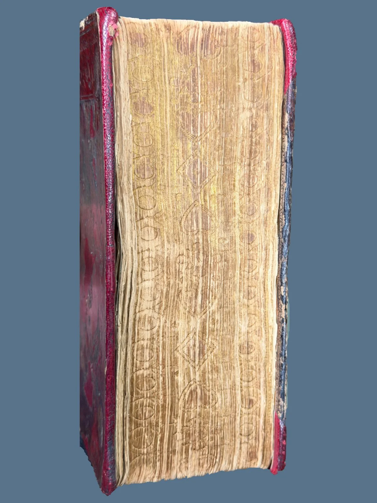 King James Bible with Gauffered Edges