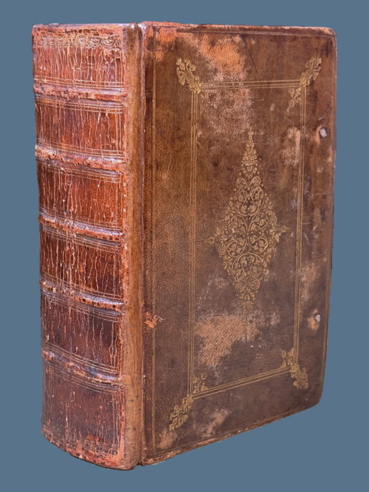 Illustrated King James Bible