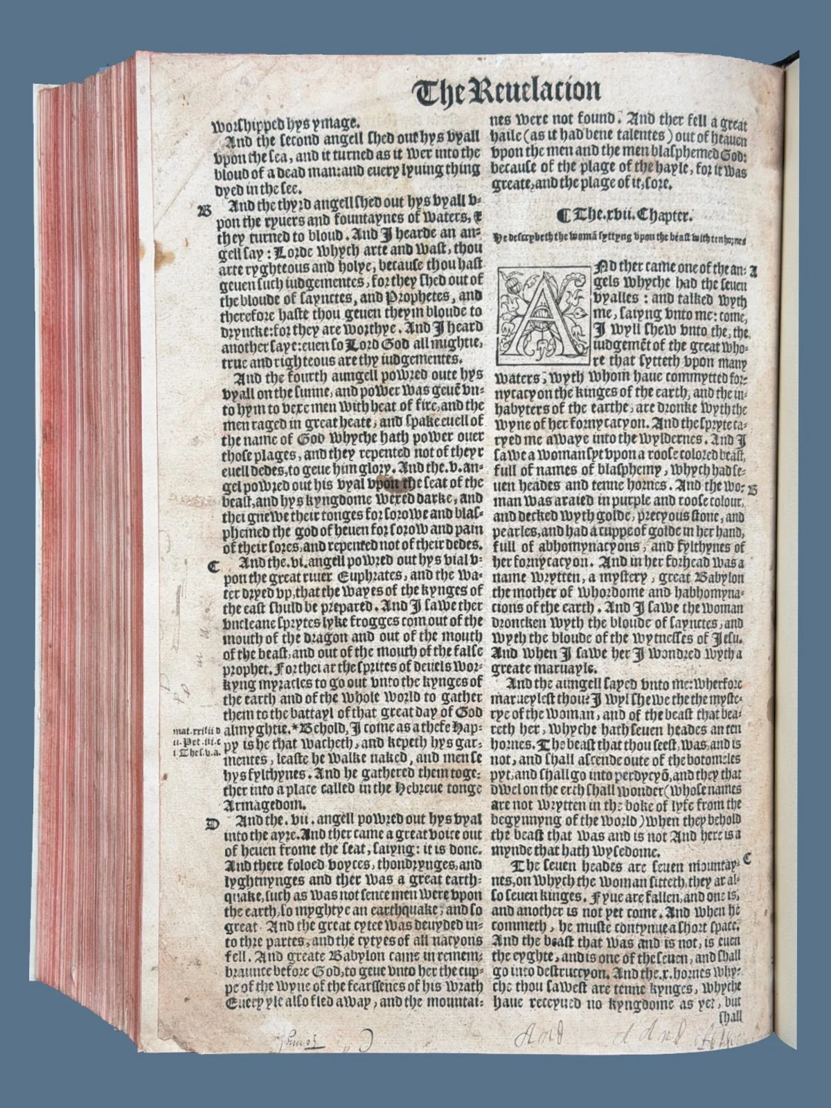 V26-17.jpg