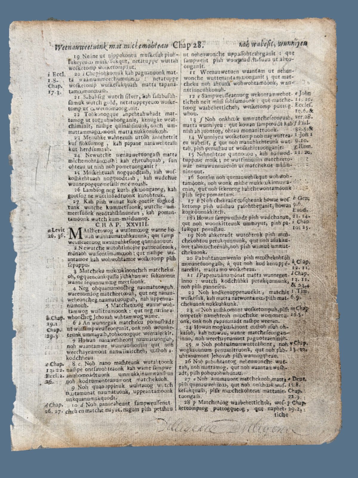 First Edition Eliot Indian Bible Leaf