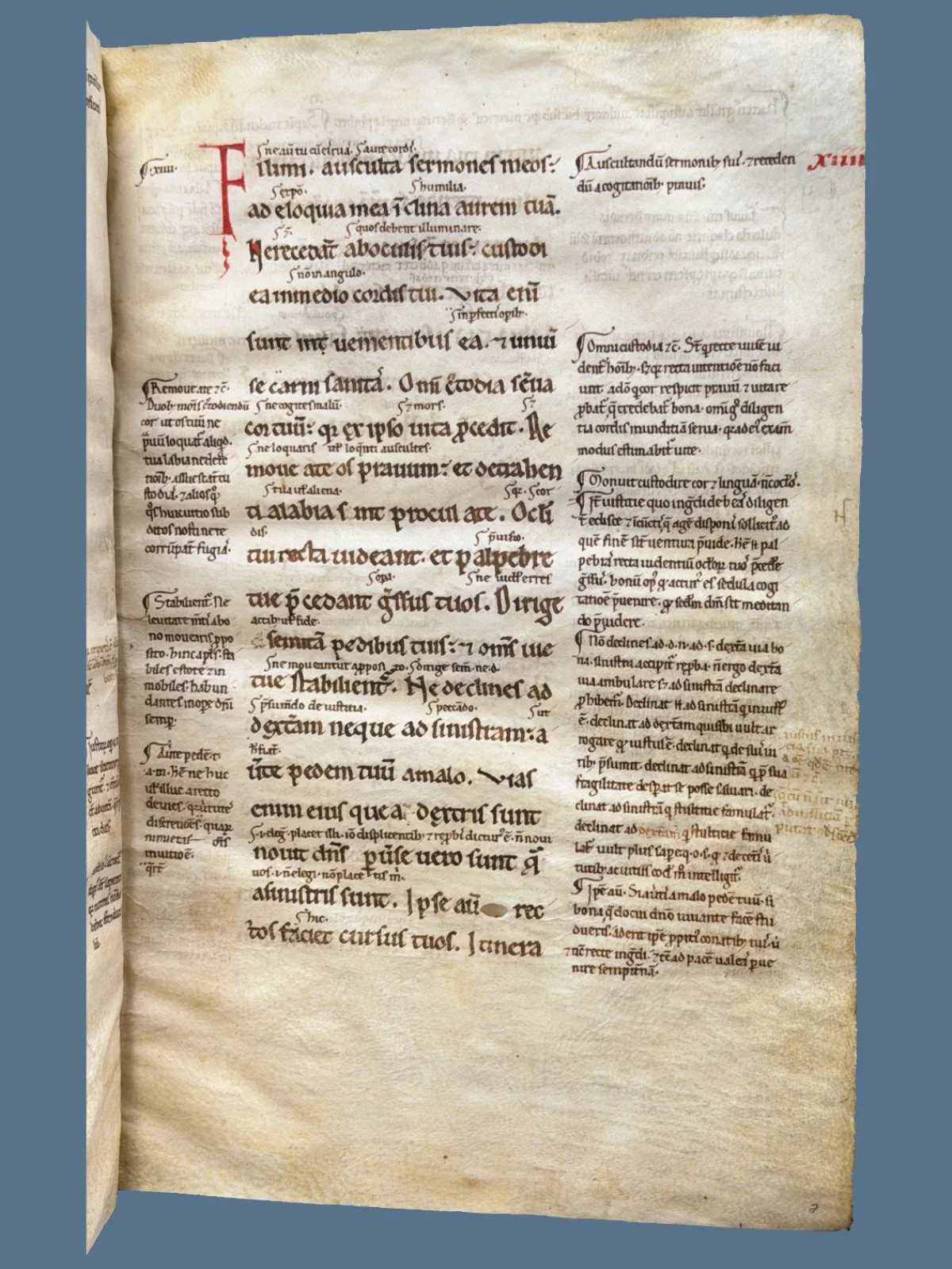 Glossed Bible