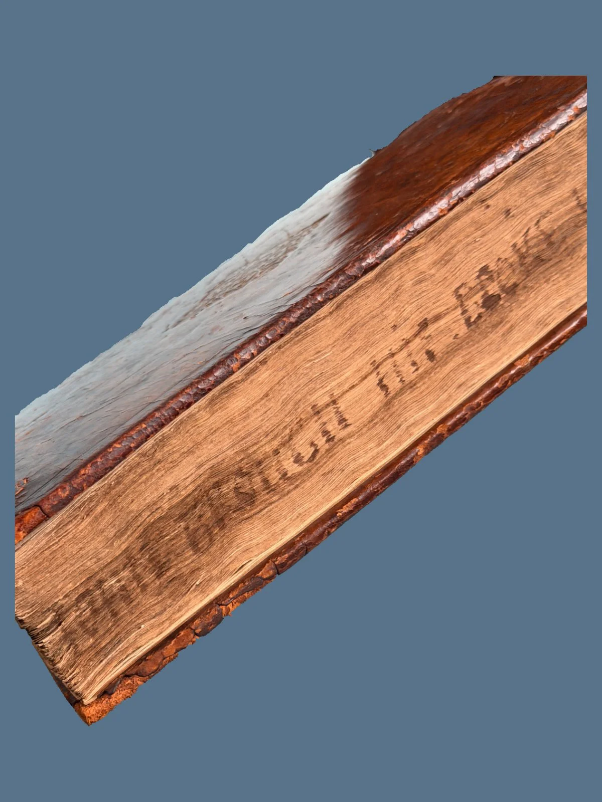 T52-17.jpg