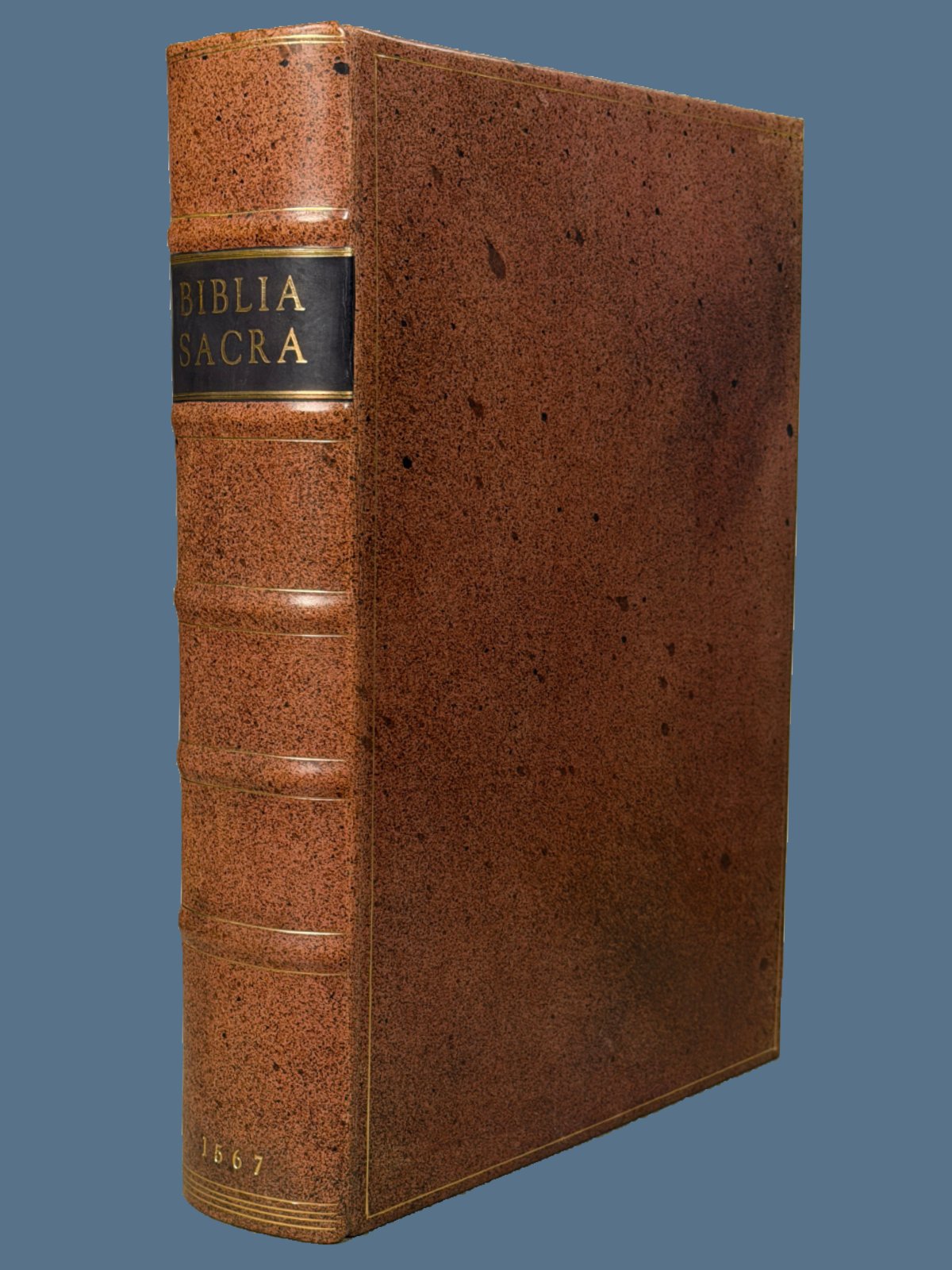 Latin Vulgate Bible