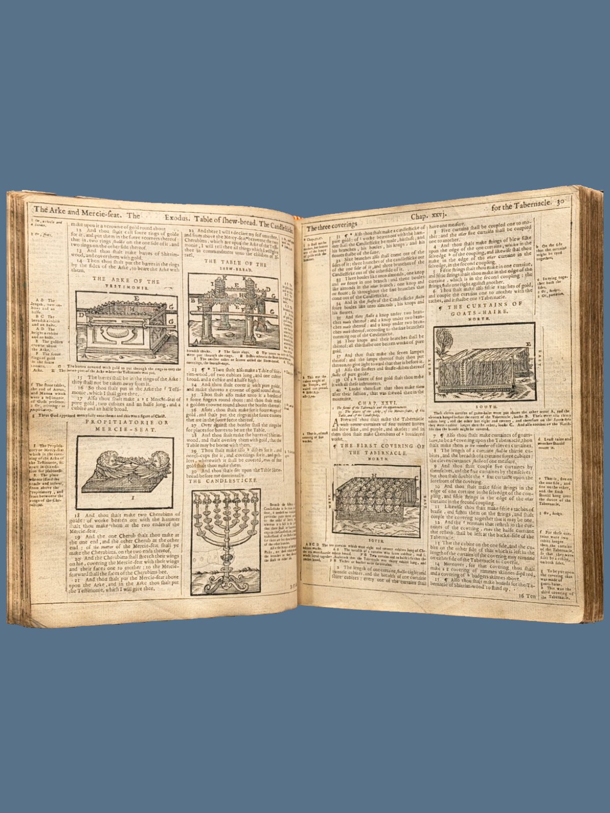 Woodcuts in the Bible