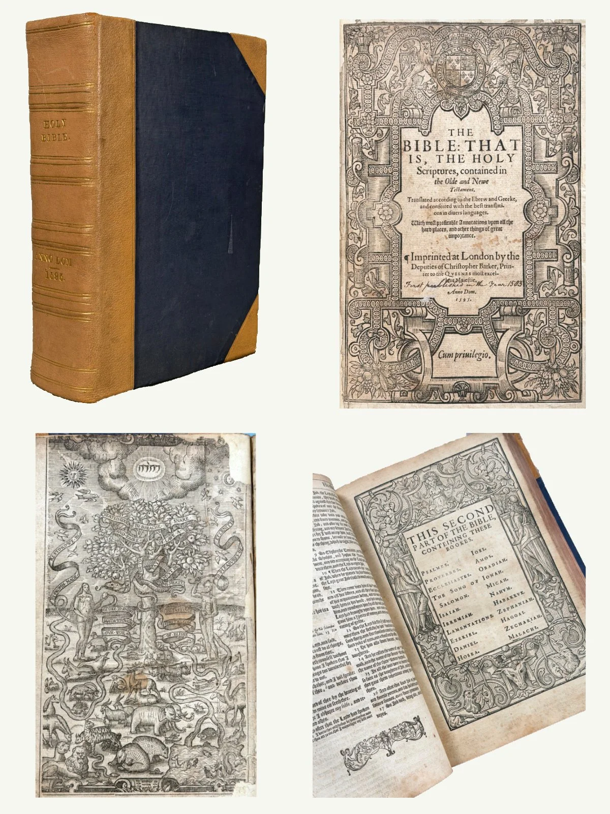 1595 Folio Illustrated Geneva Bible with Adam and Eve Engraving