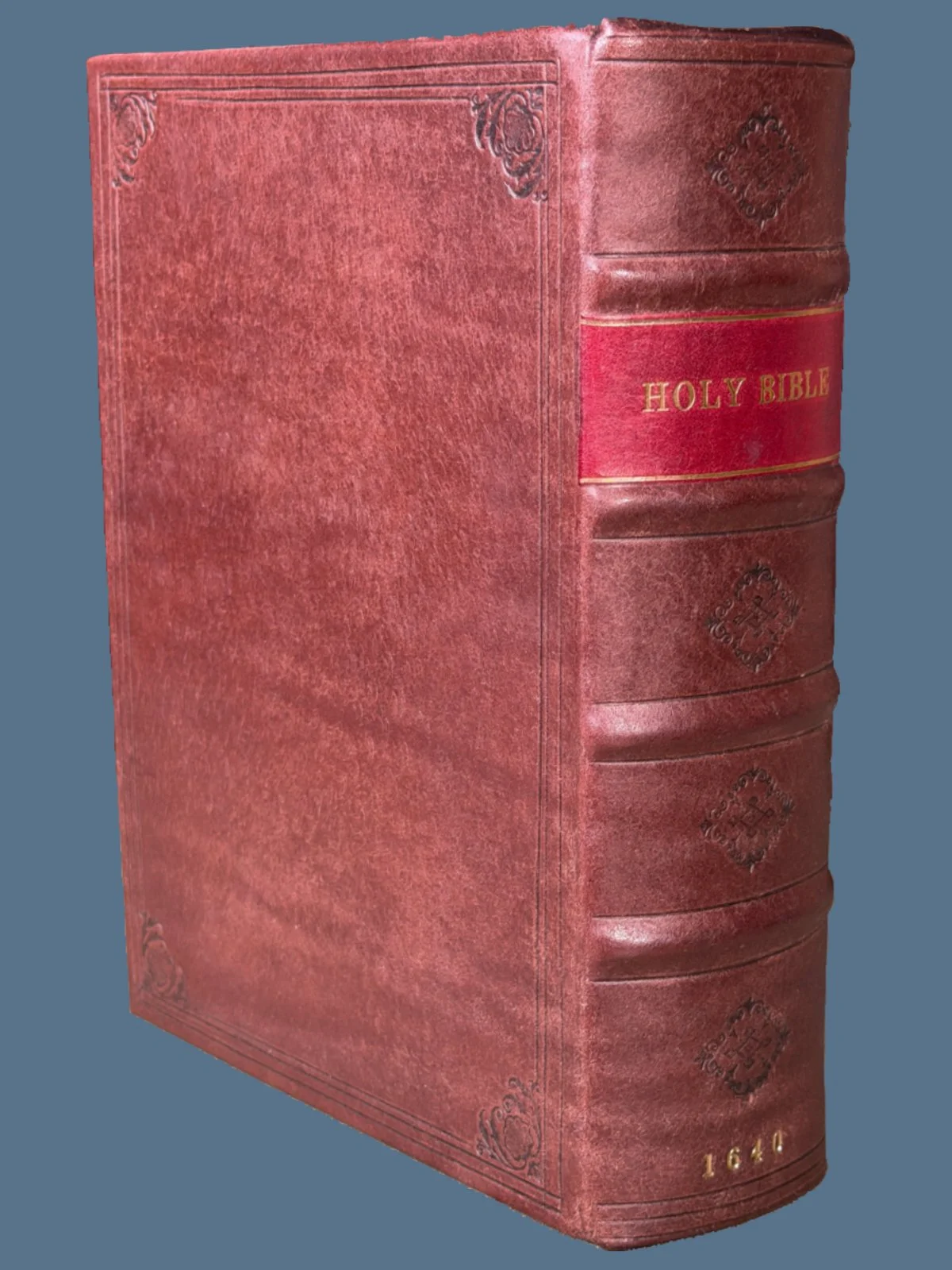 Early Rebound King James Bible