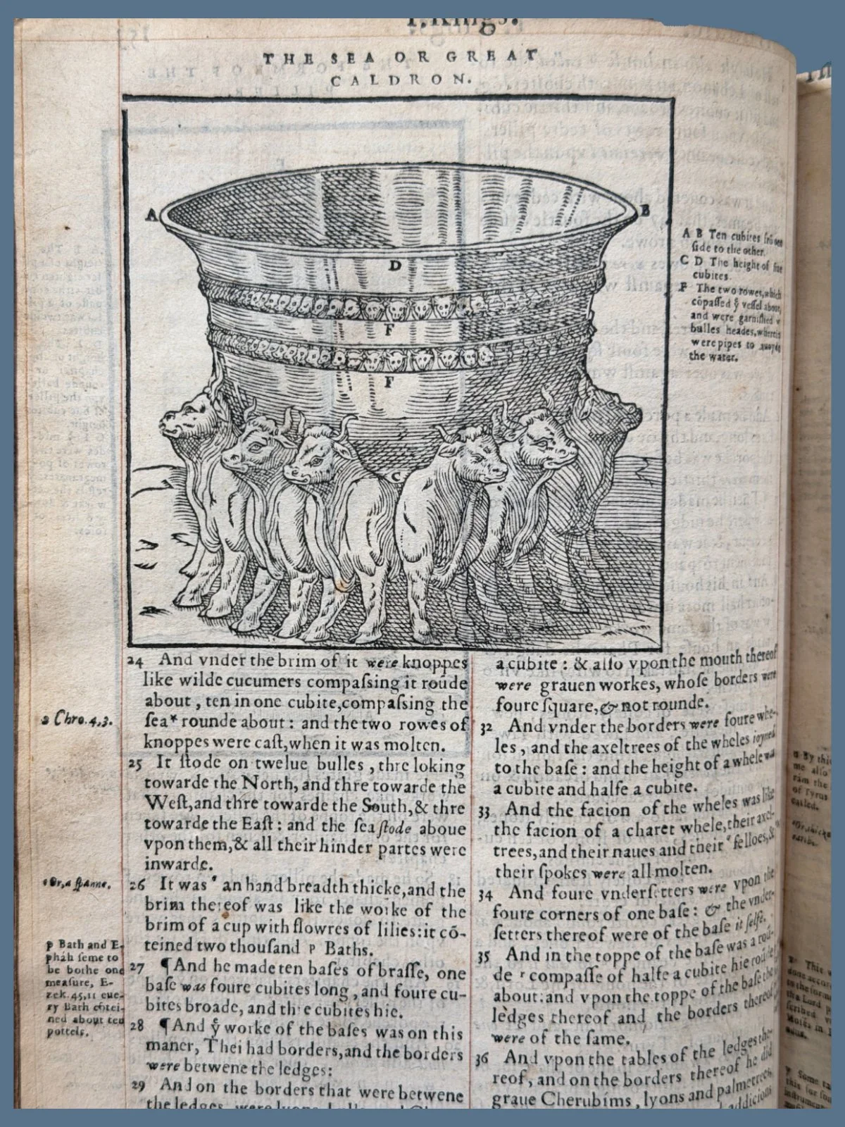 V15-12.jpg