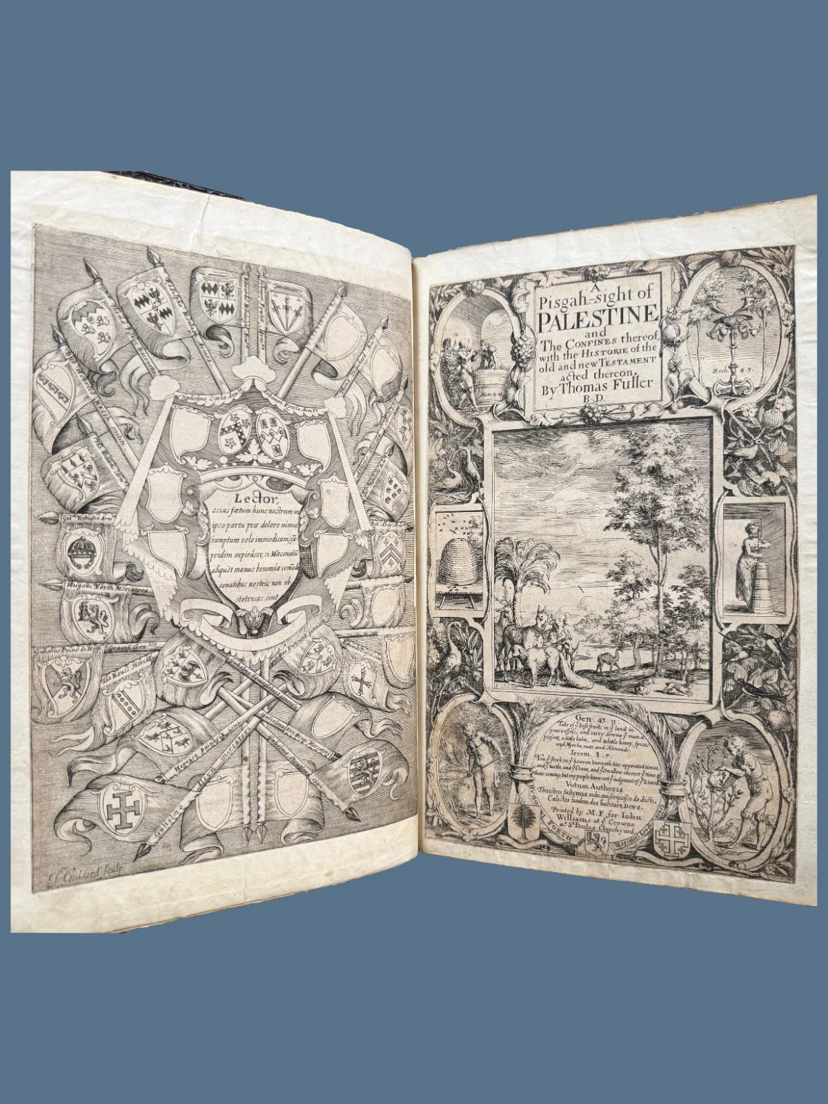 Pisgah-Sight of Palestine