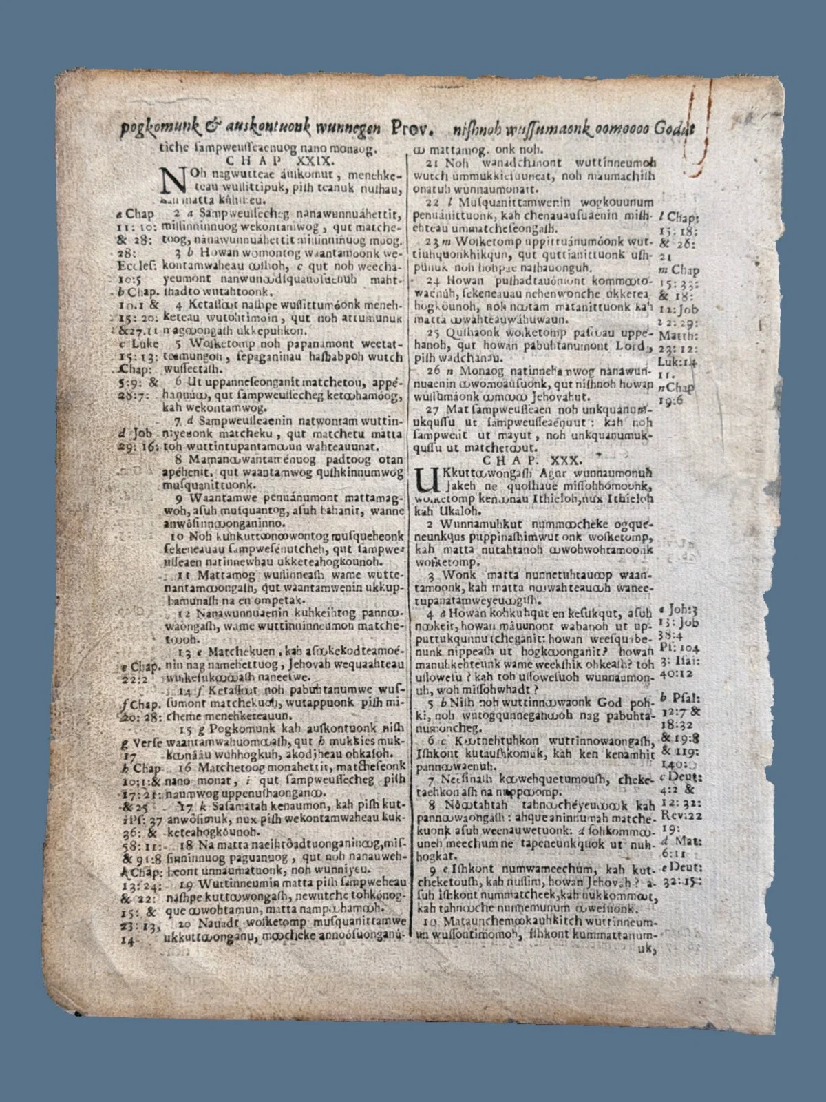 Eliot Indian Bible Leaf