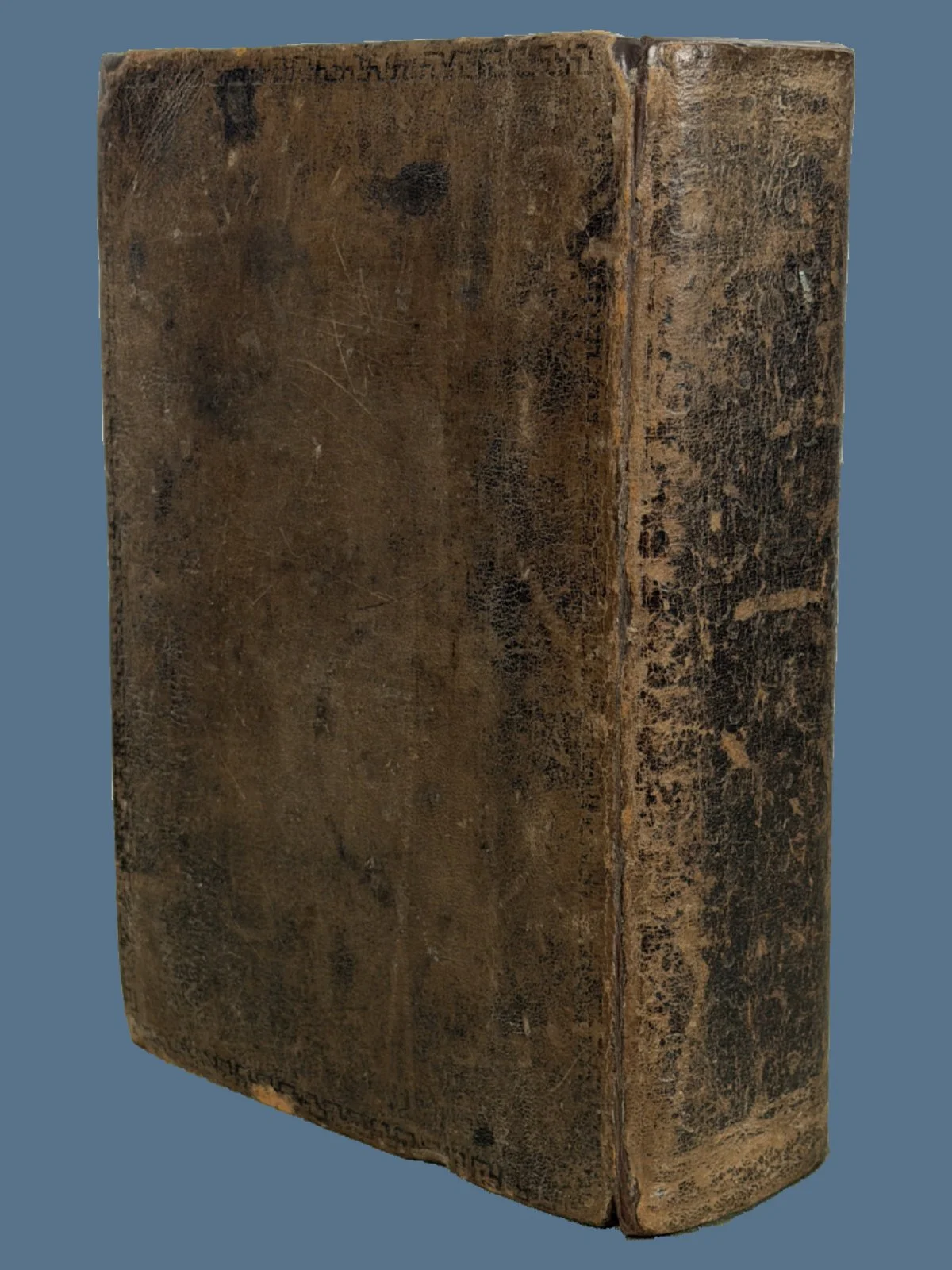 Illustrated Geneva Bible