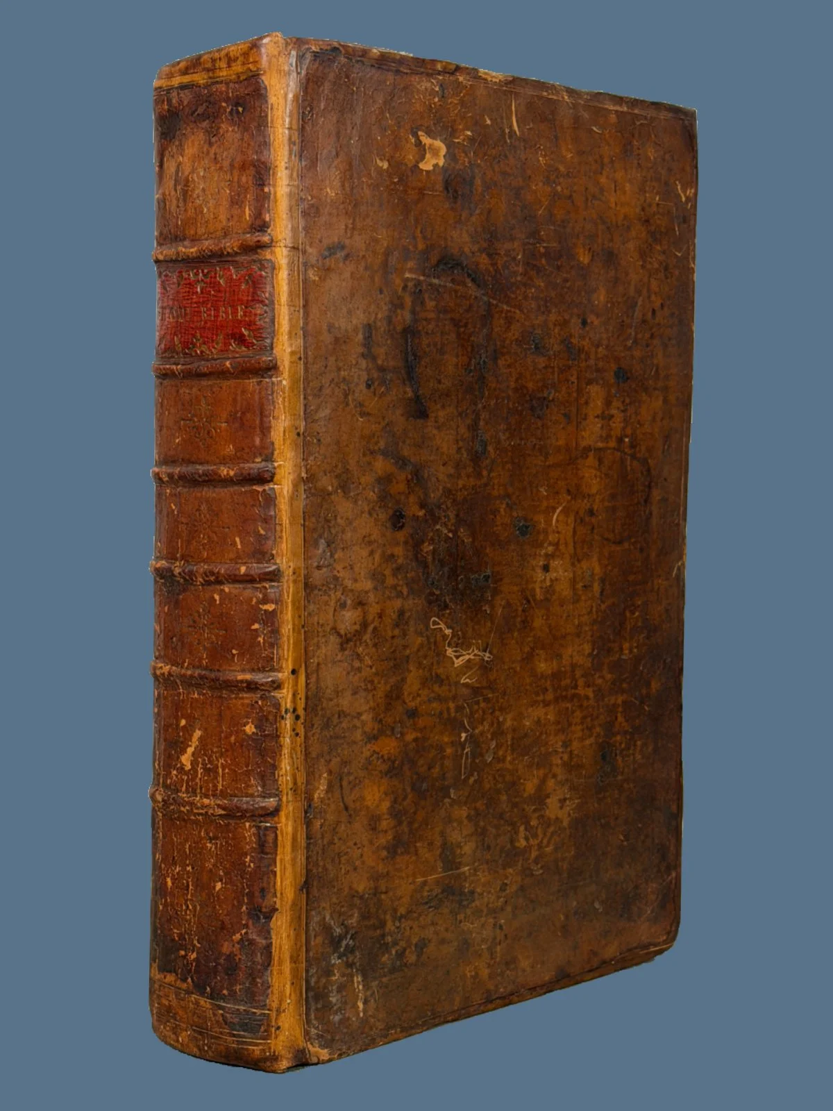 1613 King James She Bible