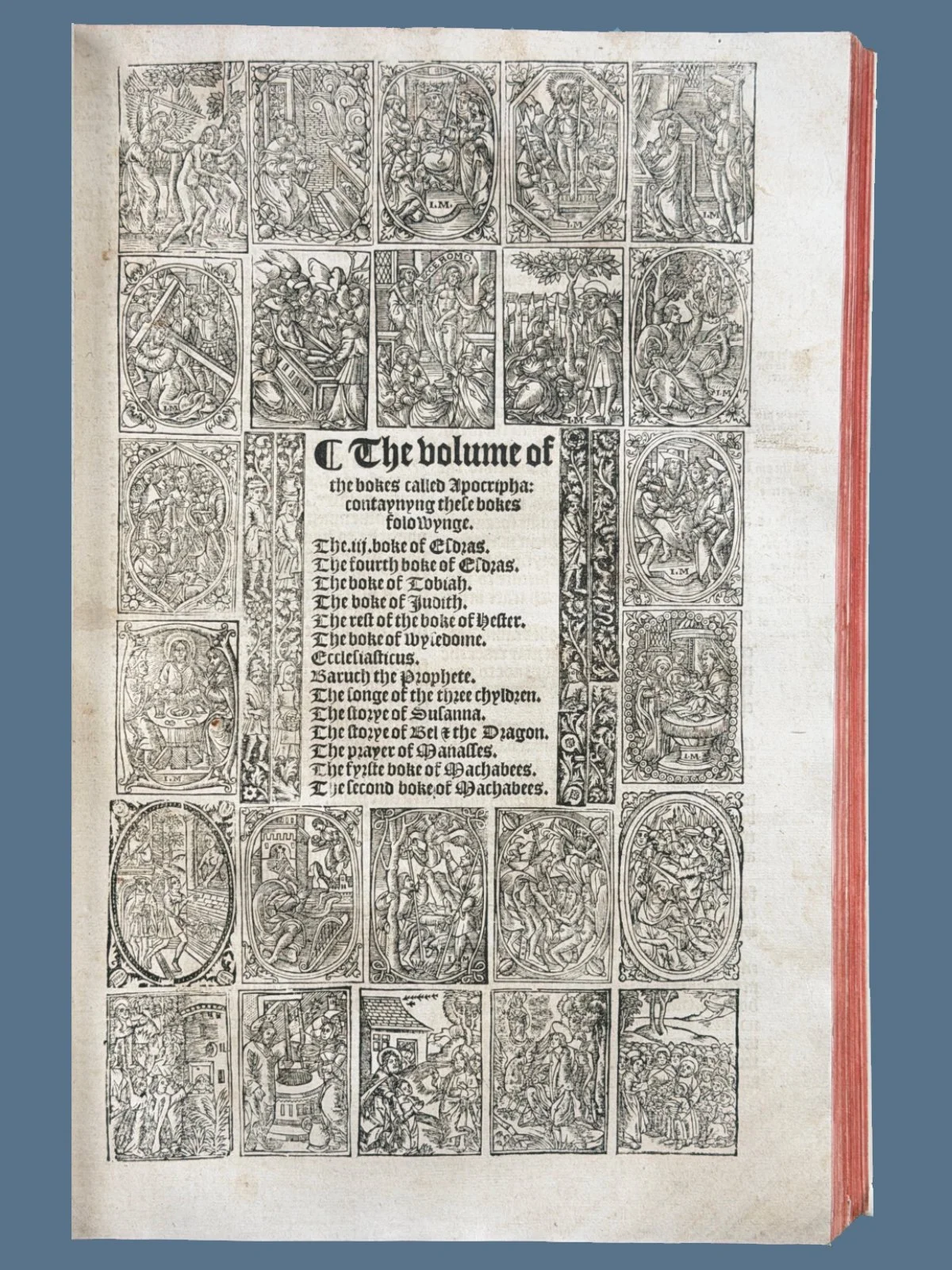 V26-13.jpg